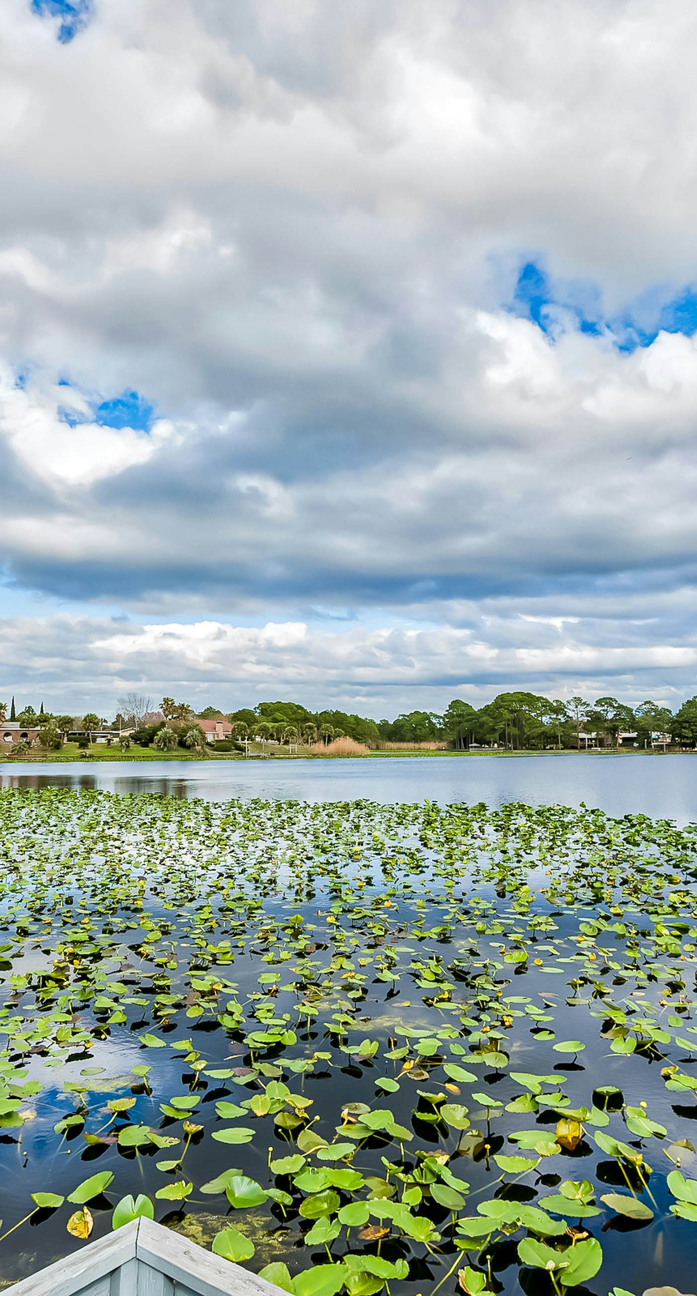 Beautiful condo located on the beach - close to attractions, pool & Hot tub