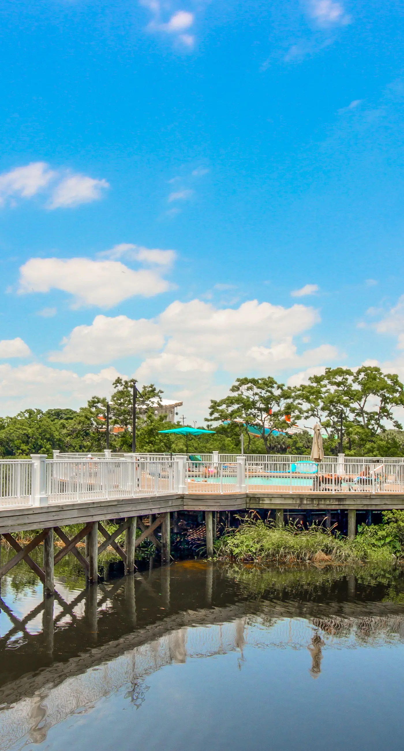 Spacious condo with bunk beds, rooftop pool, hot tub, washer/dryer & central AC