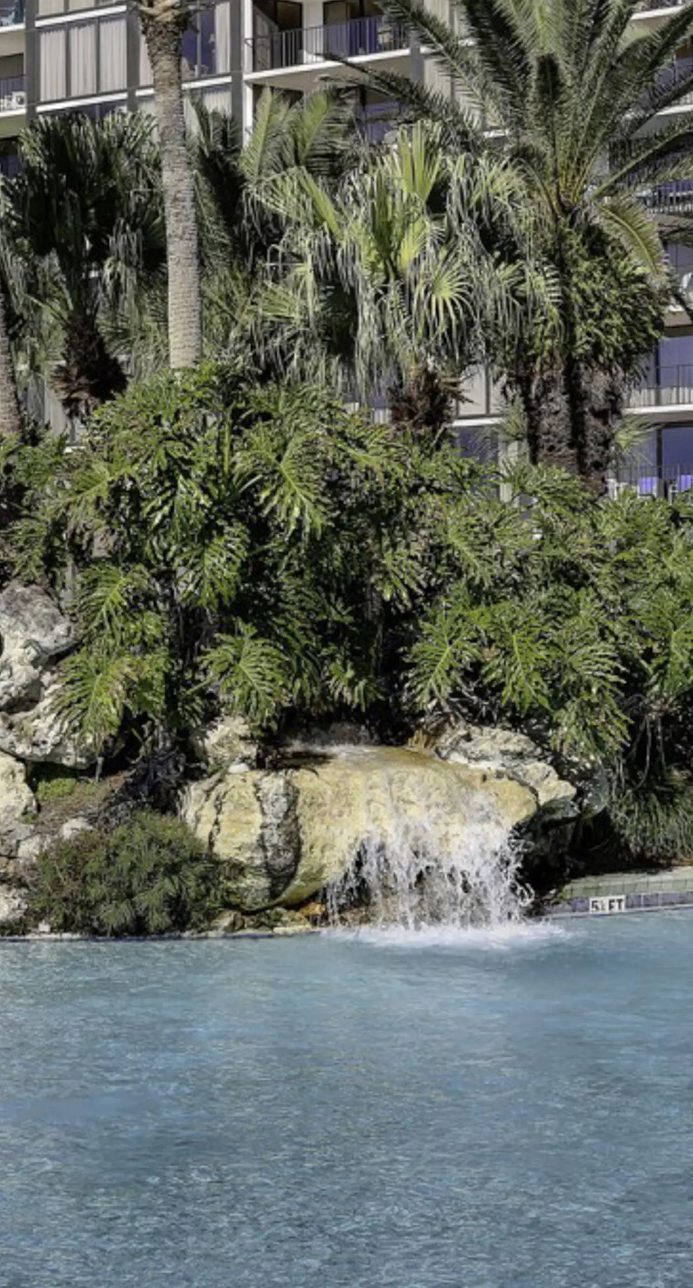 Edgewater Beach Resort T1-1204