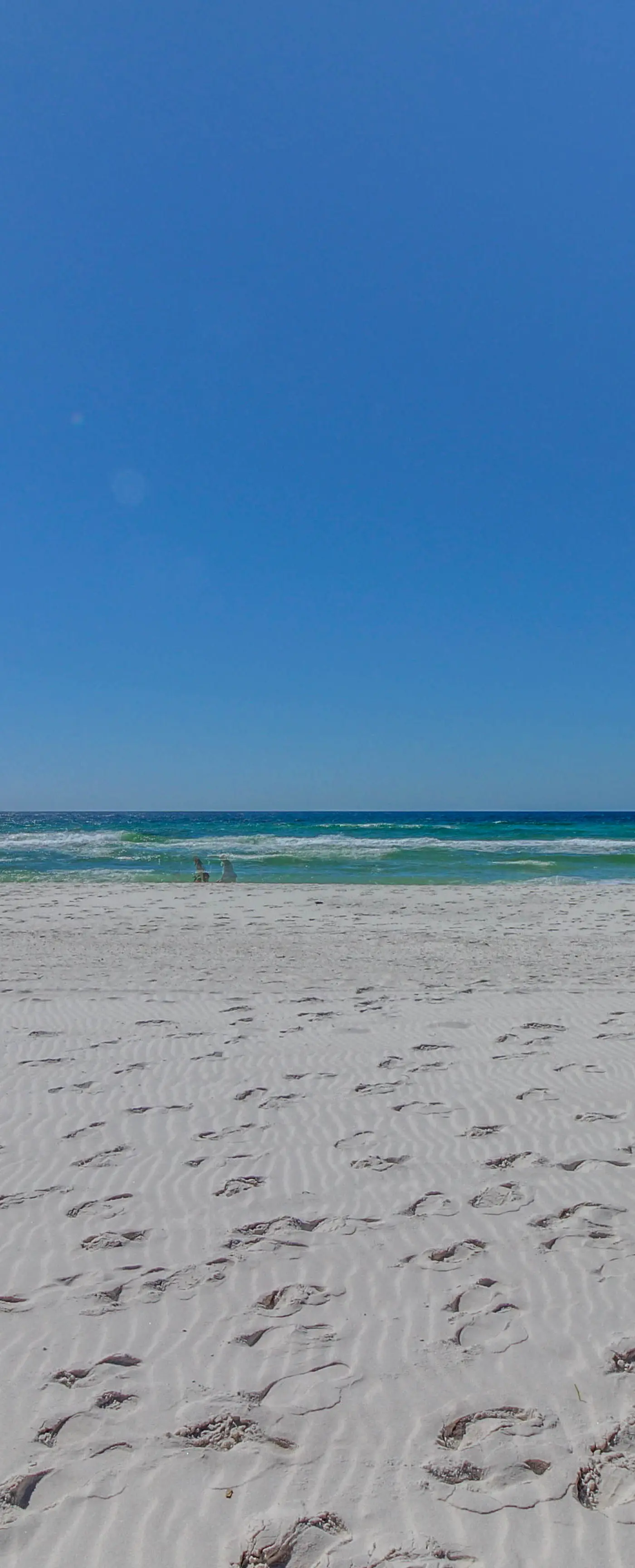 Gorgeous beachfront condo, shared & and beach access