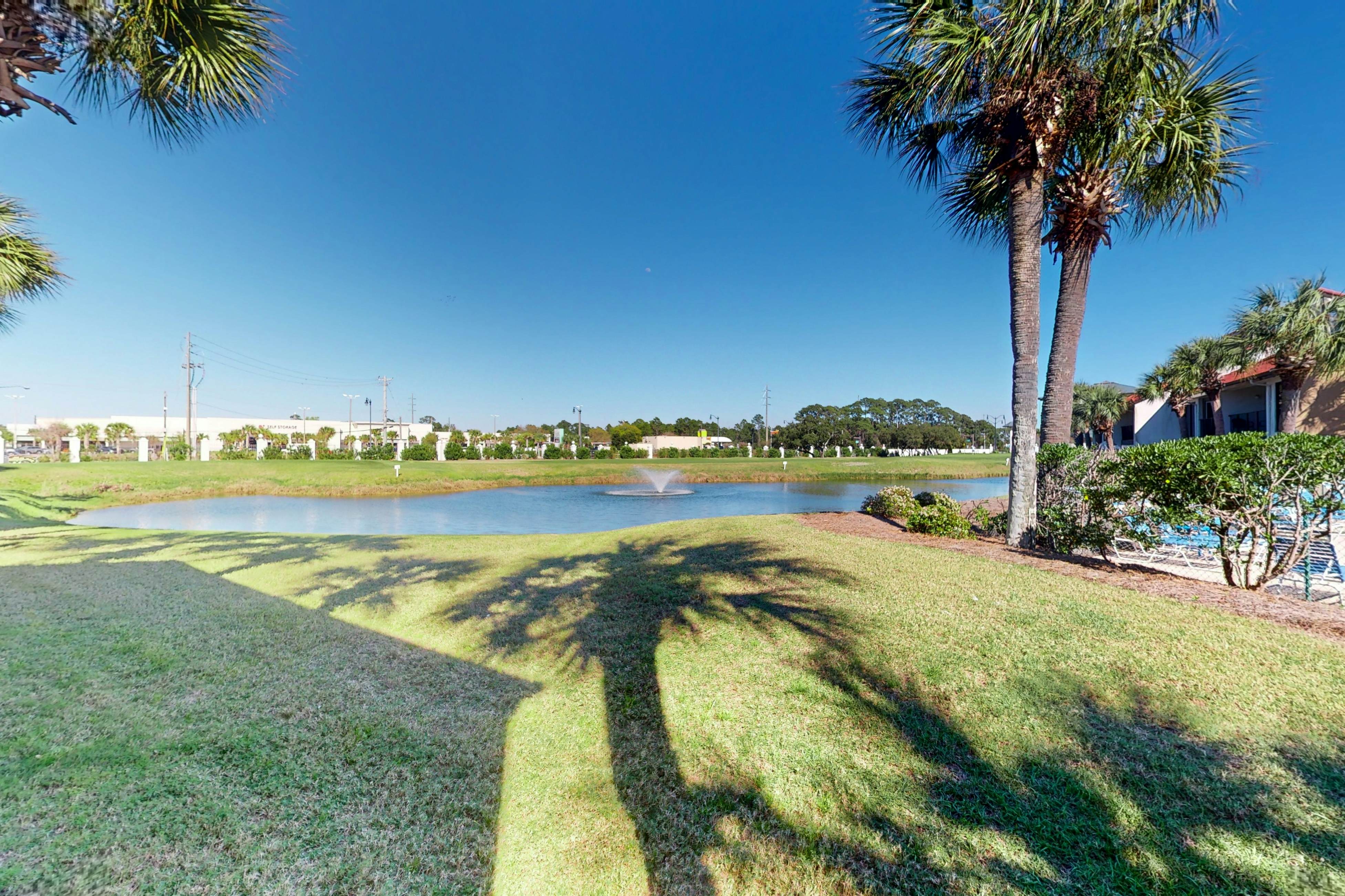 Golf lovers’s condo with golf, 11 pools, hot tubs, gym, tennis, pickleball, W/D