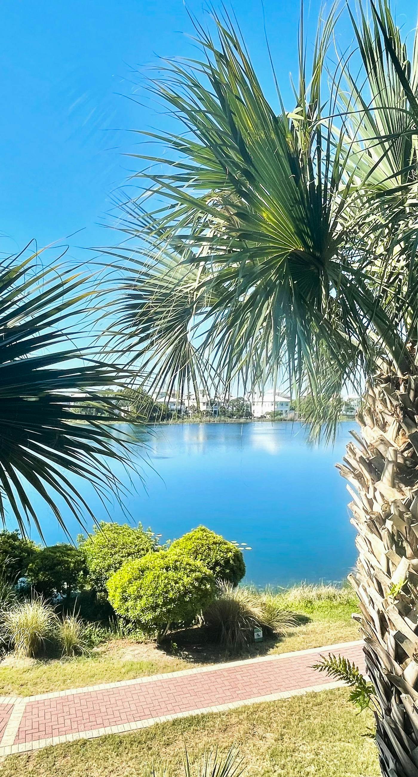 Upscale condo with pools, private beach access, hot tubs & tennis - dog-friendly