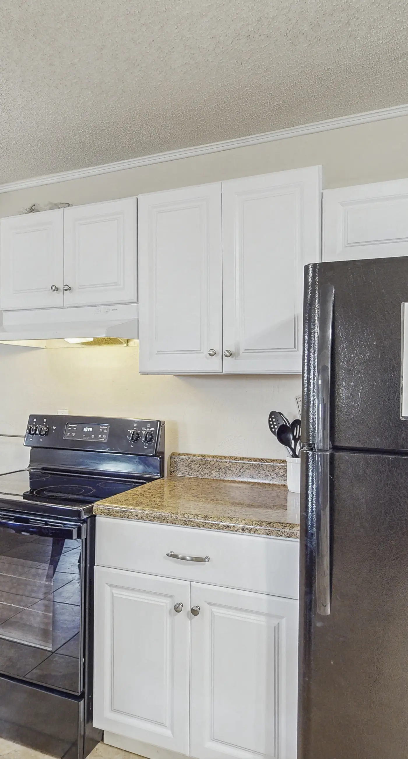 New listing! Dog-friendly beach escape w/ a full kitchen & furnished back patio