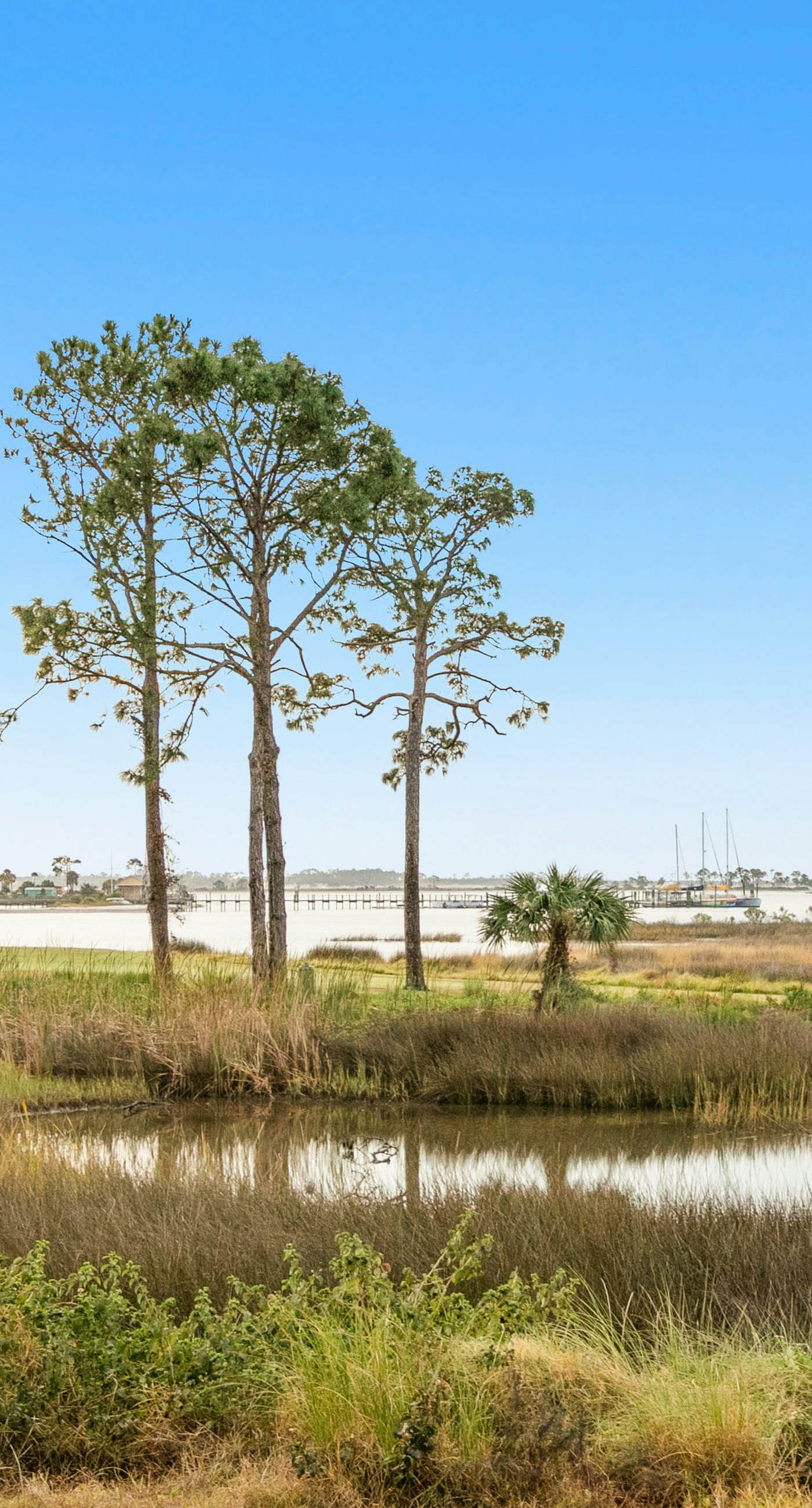 3rd-floor beach & pool-view condo with outdoor pool, hot tub, grills, balcony