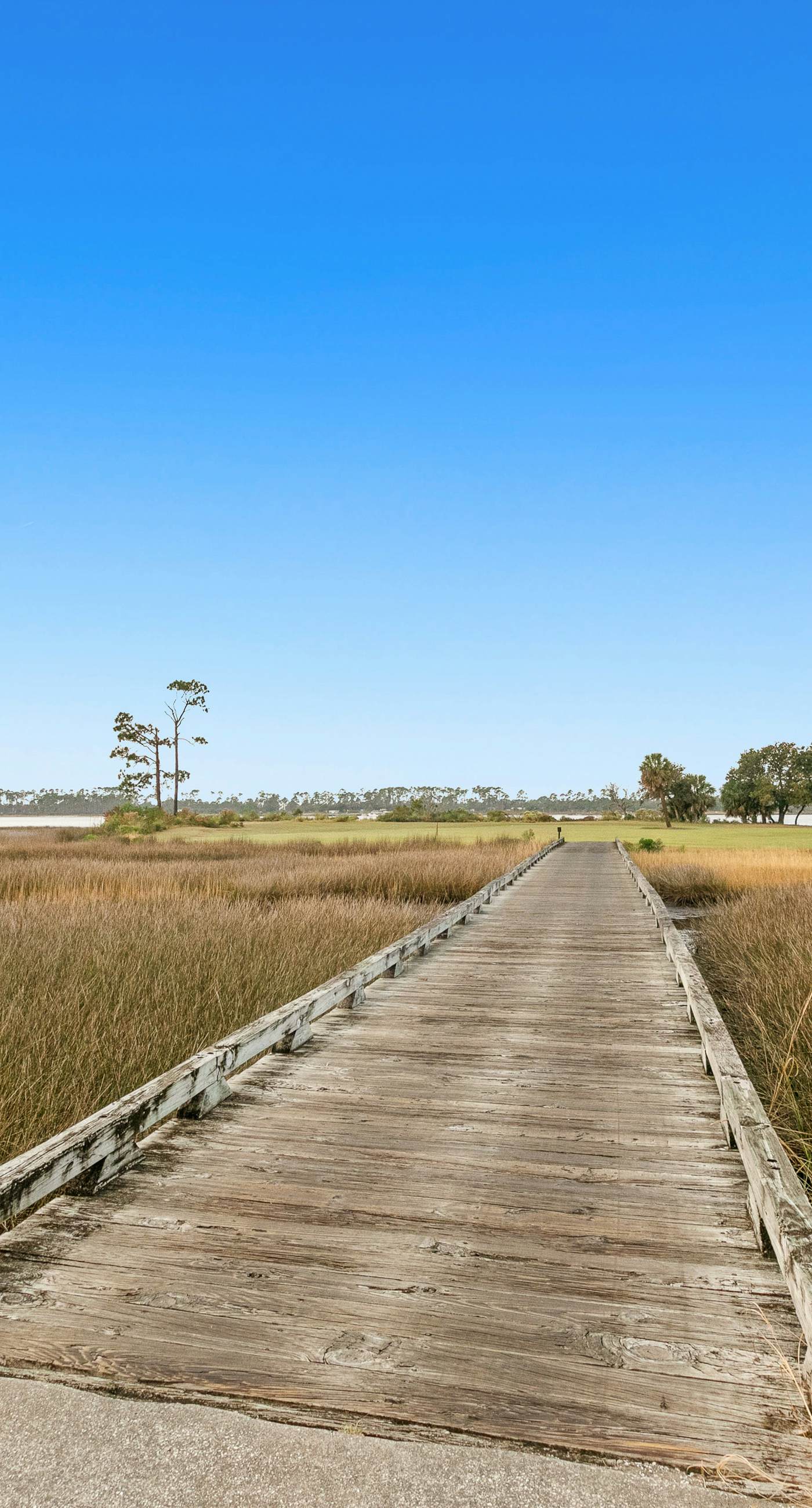 3rd-floor beach & pool-view condo with outdoor pool, hot tub, grills, balcony