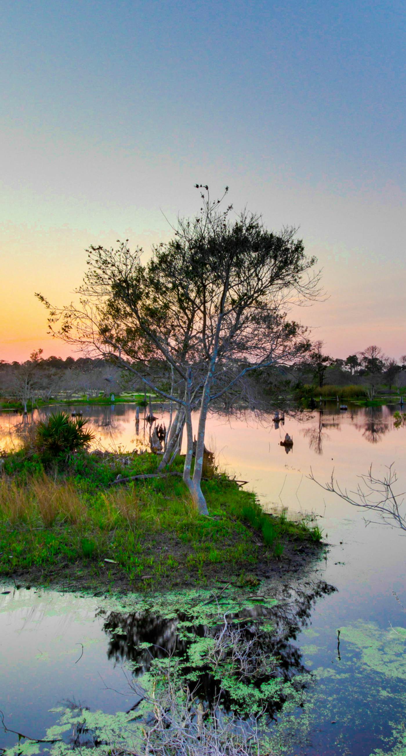 Gulf-front condo with beautiful sunset views, pool, tiki bar, fitness room & W&D