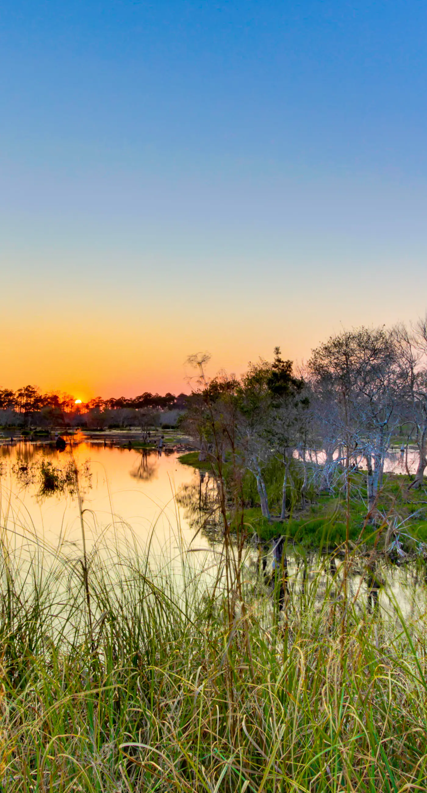 Beachfront condo with Gulf views, pools, hot tub & free beach chair service