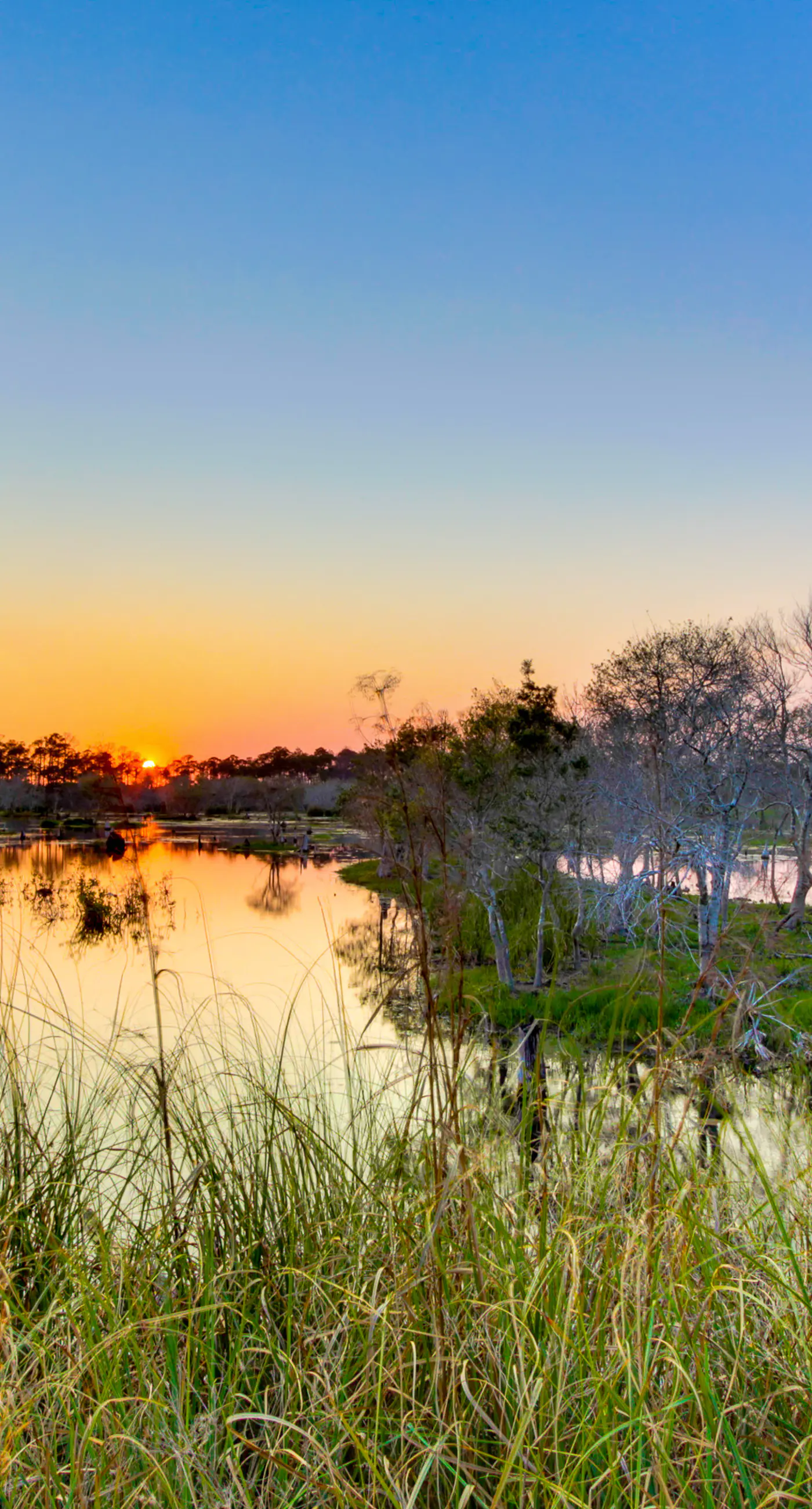 Eclectic gulf front condo with free WiFI, two pools, hot tub, & easy beach access