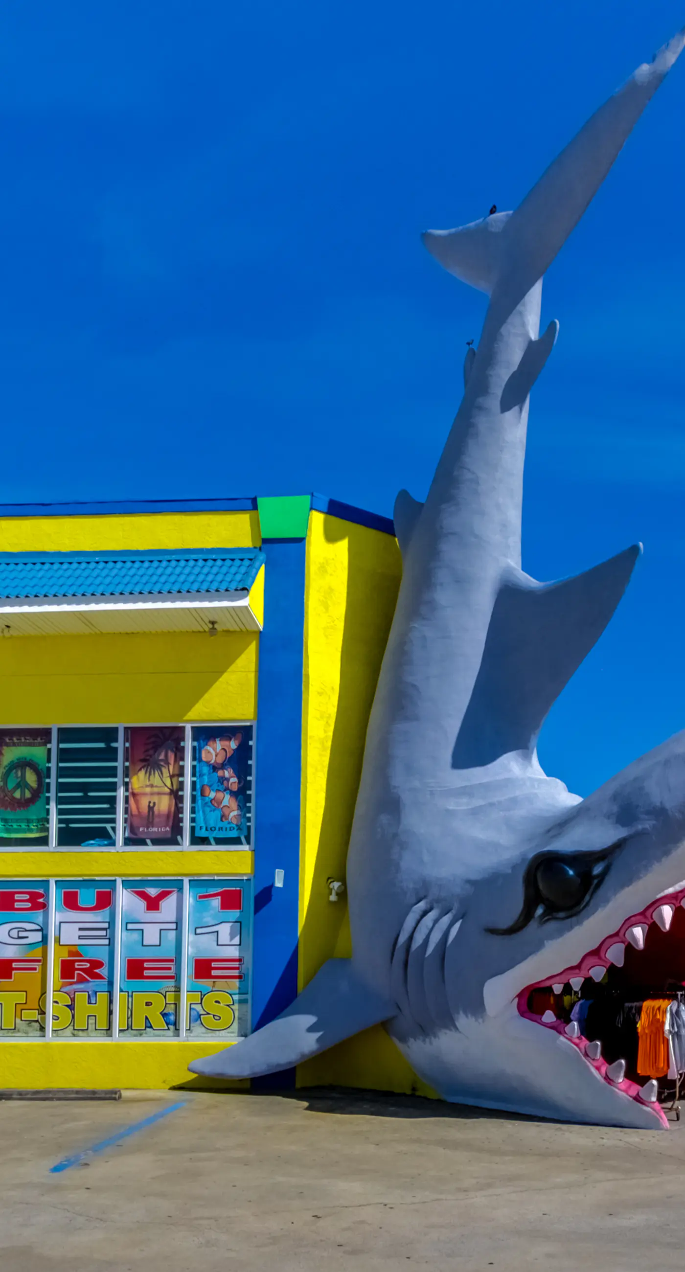 Dog-friendly condo with pool, balcony, beach access, central AC, & W&D