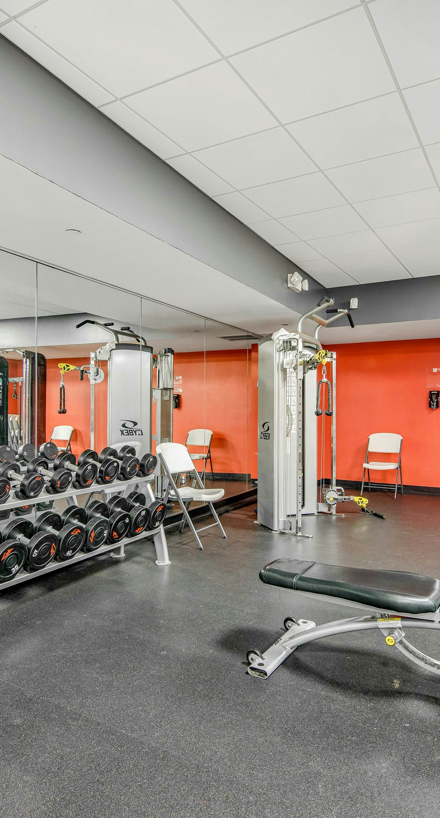 Beachfront 16th-floor condo with Gulf views, pool, game room, balcony, gym, W&D