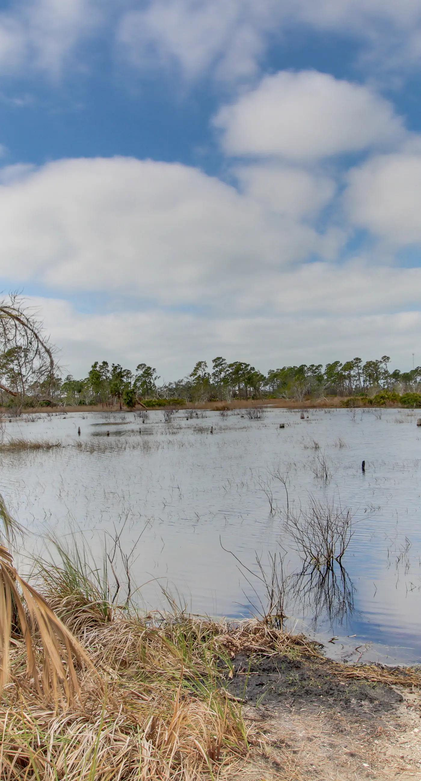 Gulf-front condo with view, 3 resort pools, tennis & 1,500 ft of resort beachfront