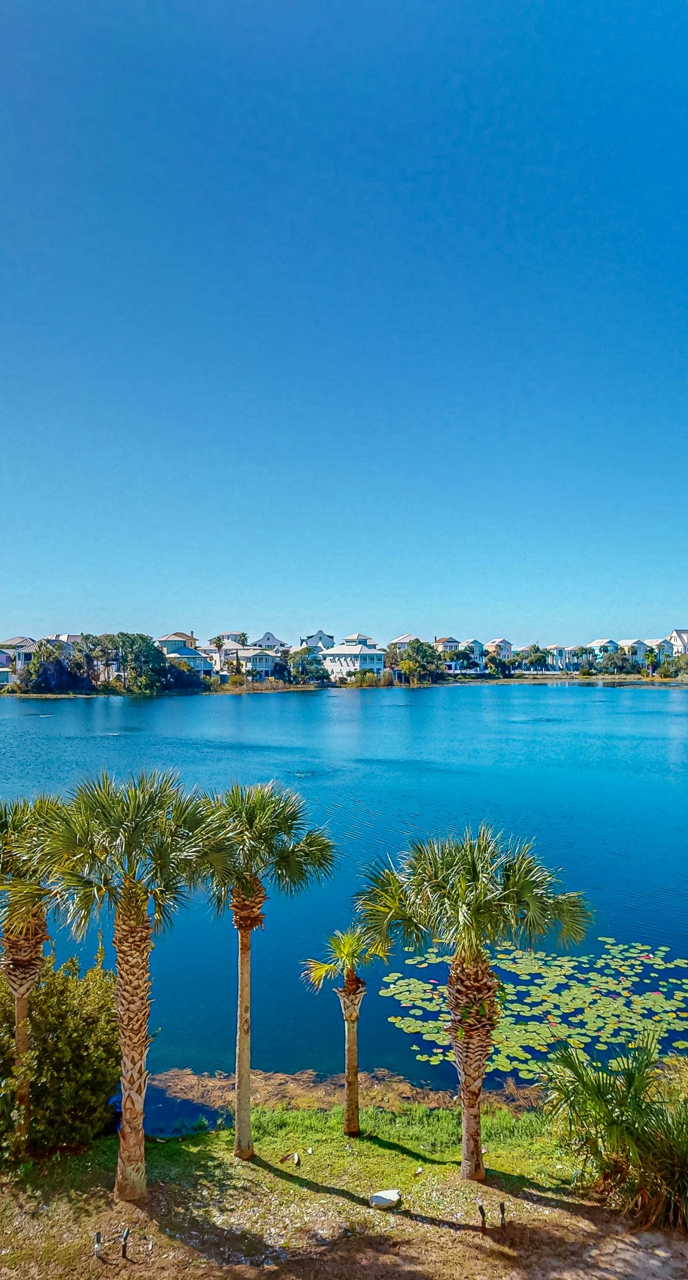 Gorgeous & cozy waterfront efficiency w/ shared pools, hot tubs, & beach access