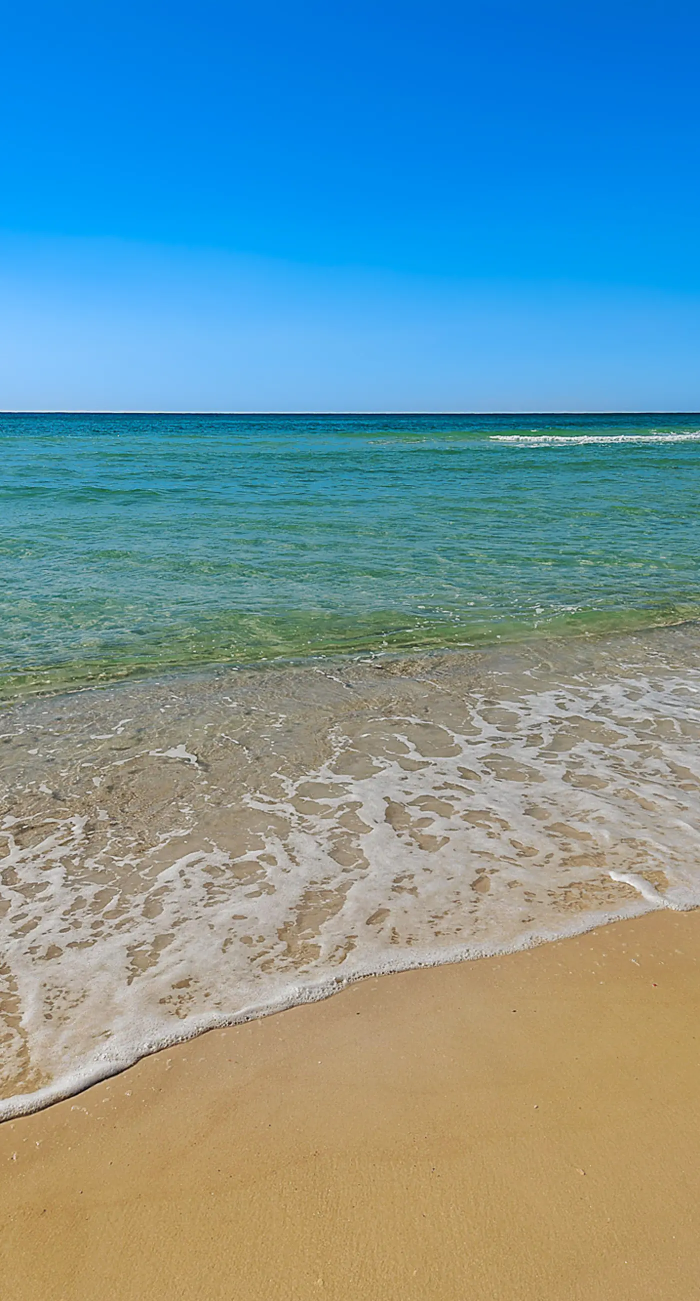 Dog-friendly duplex 2 blocks from beach with private yard, AC, & W&D