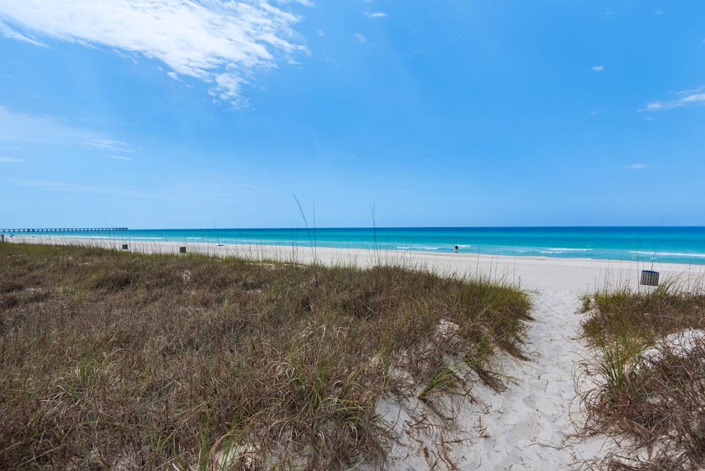 Large, snowbird friendly beachfront home with fast WiFi - steps to