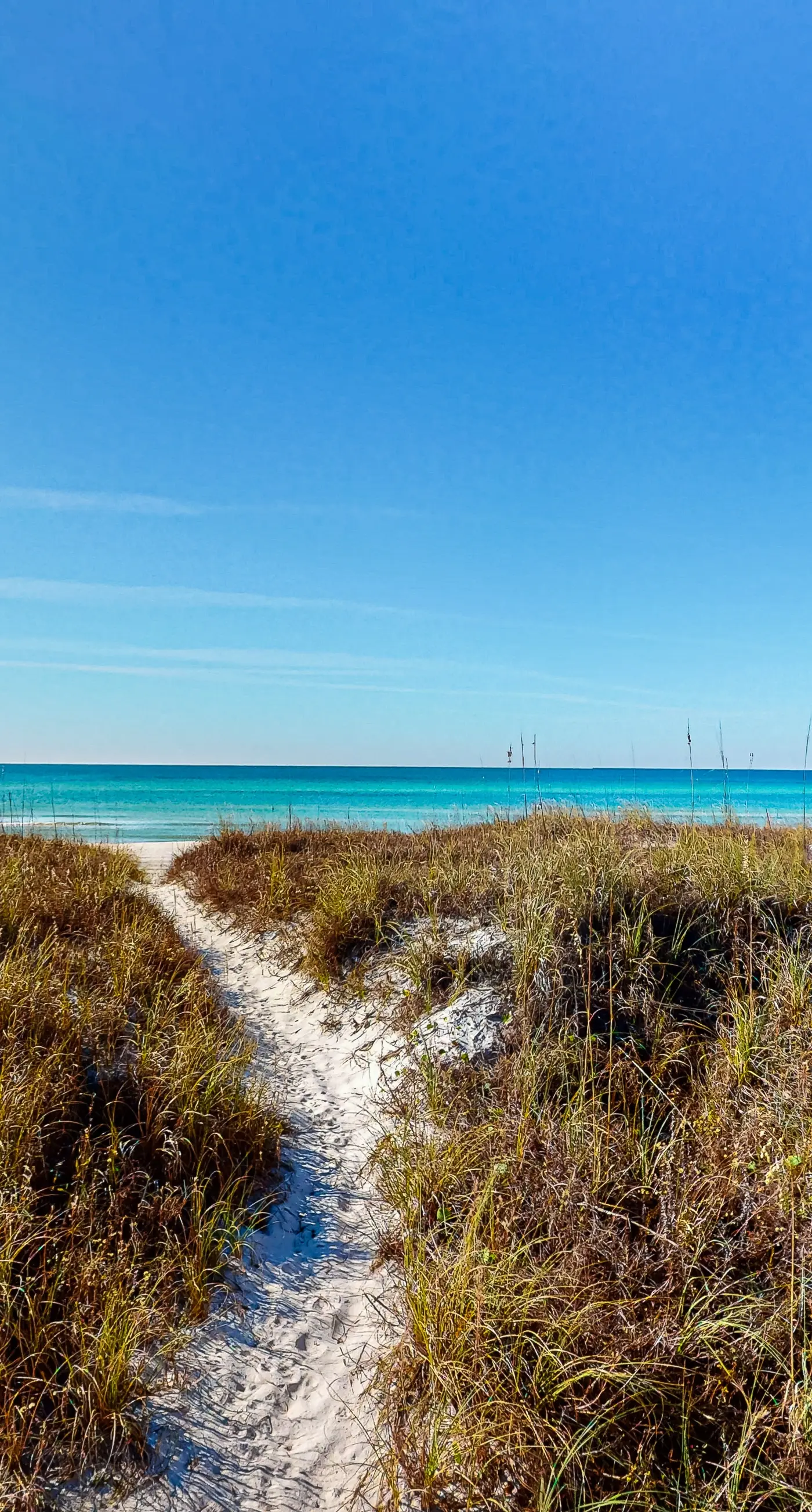 Large, snowbird & dog-friendly beachfront home w/WiFi & patio - steps to sand