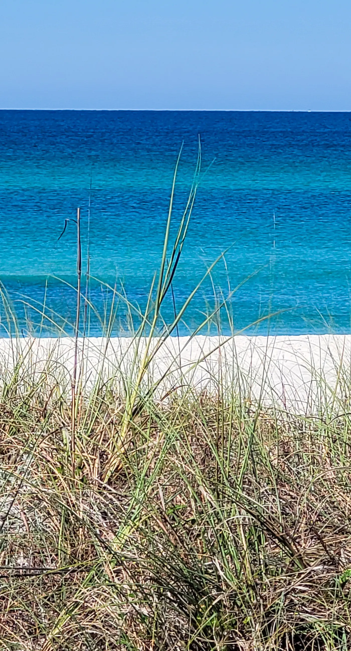 Large, snowbird & dog-friendly beachfront home w/WiFi & patio - steps to sand