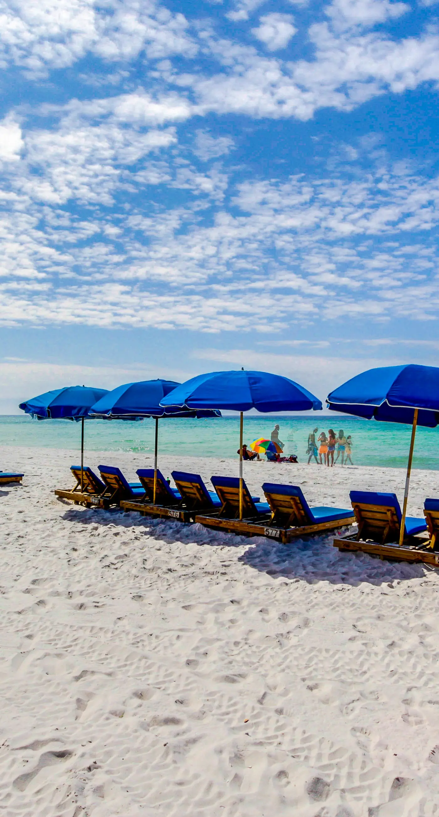 Gorgeous beachfront condo, shared pool and beach access