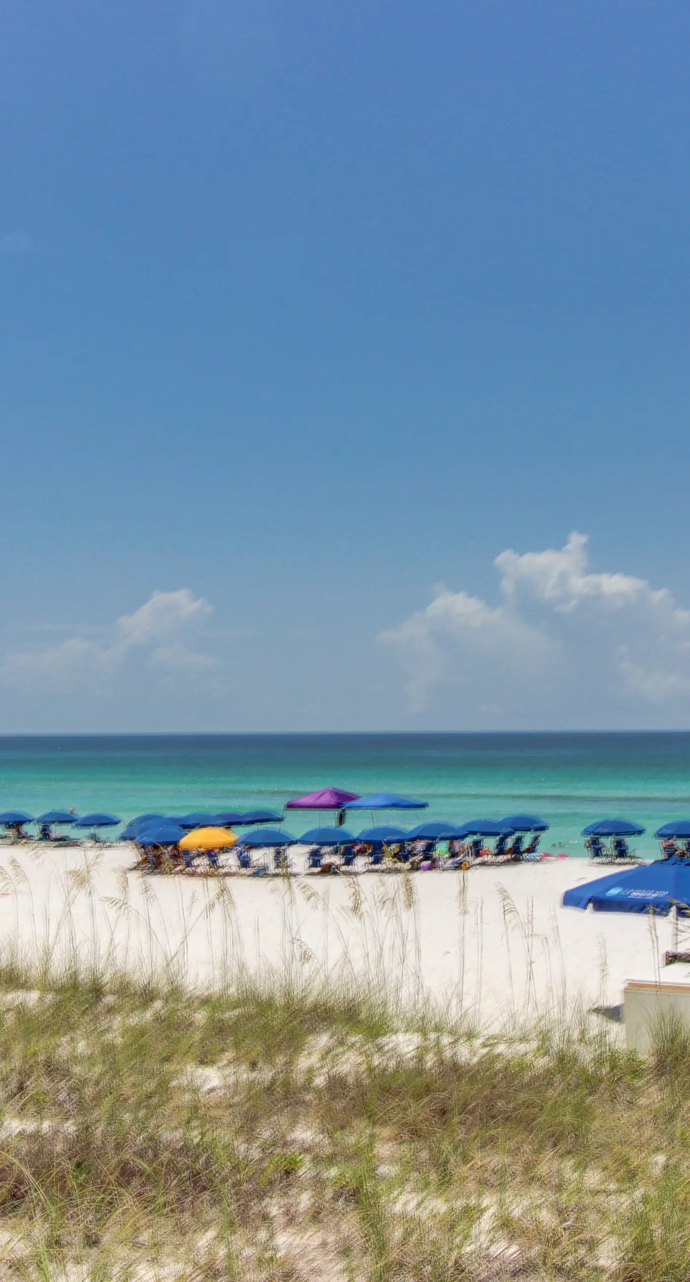 Beachfront Condo with Gulf-View, Balcony, with Shared Pool, & Gym