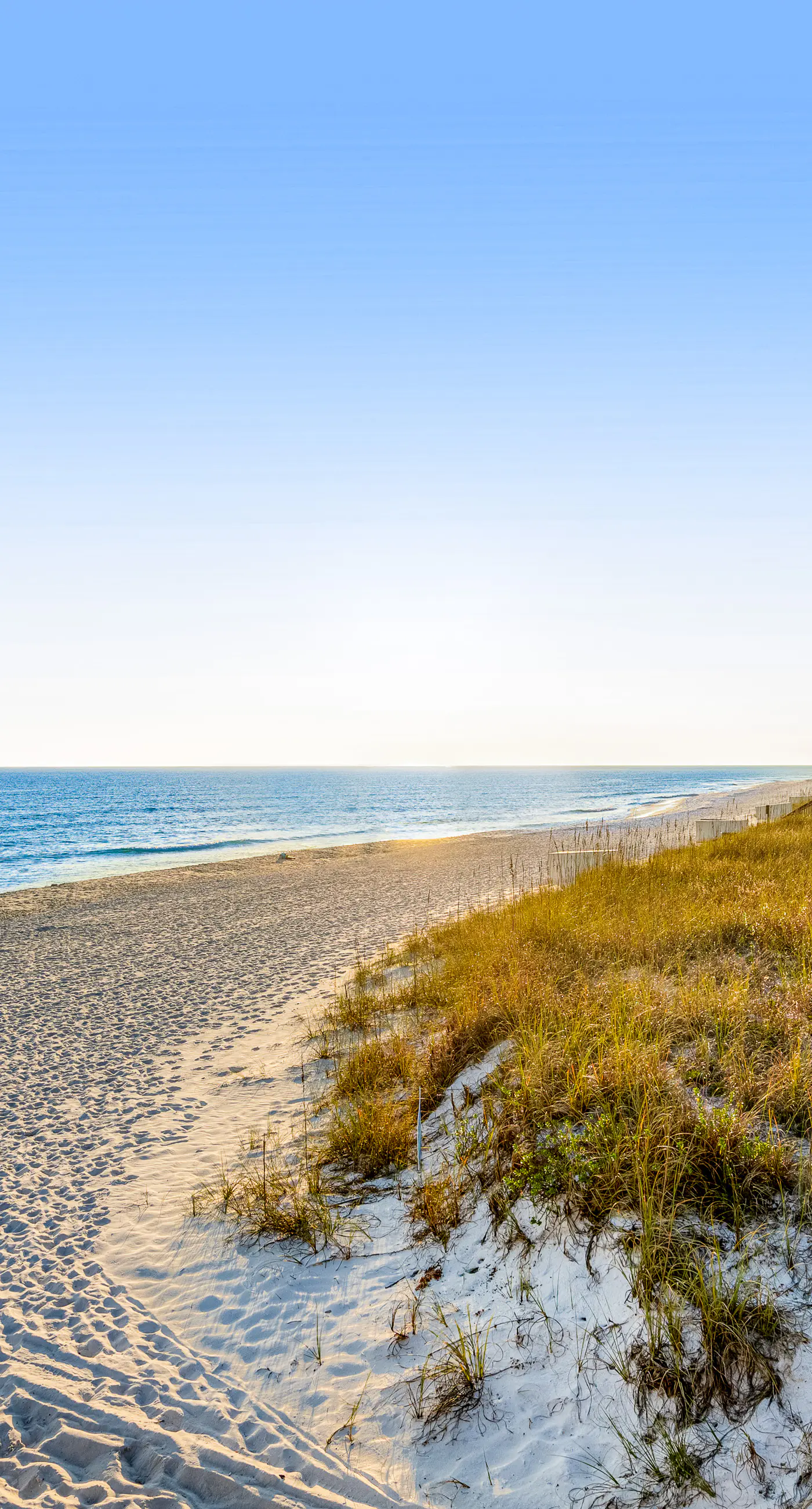 Sunny beachside condo with pool, central AC & washer&dryer