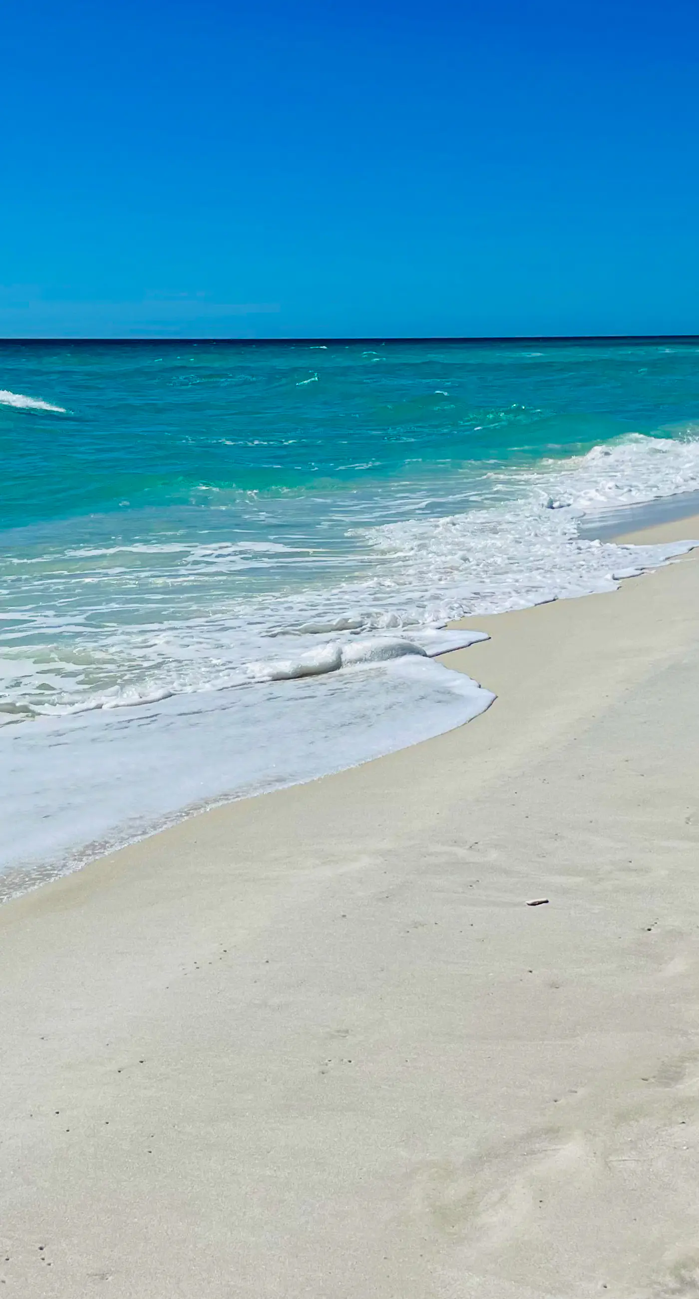 Dog-friendly home near the beach with private pool, Ping-Pong, foosball & bikes