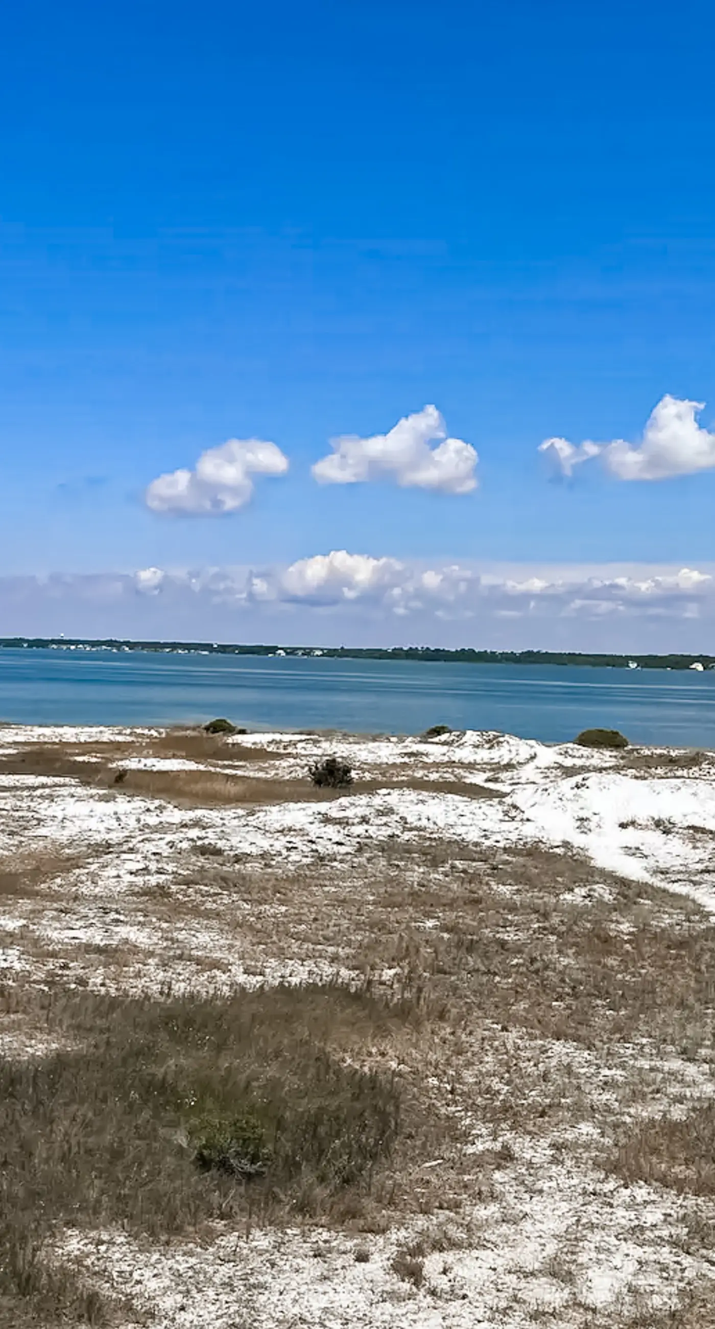 Gorgeous coastal home with shared pool & easy beach access