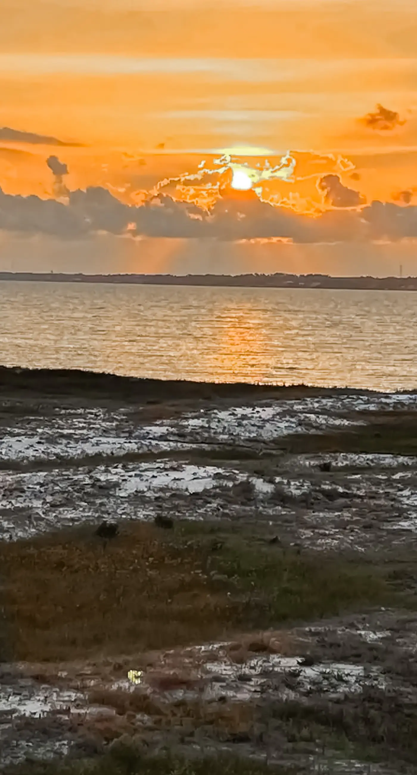 Gorgeous coastal home with shared pool & easy beach access