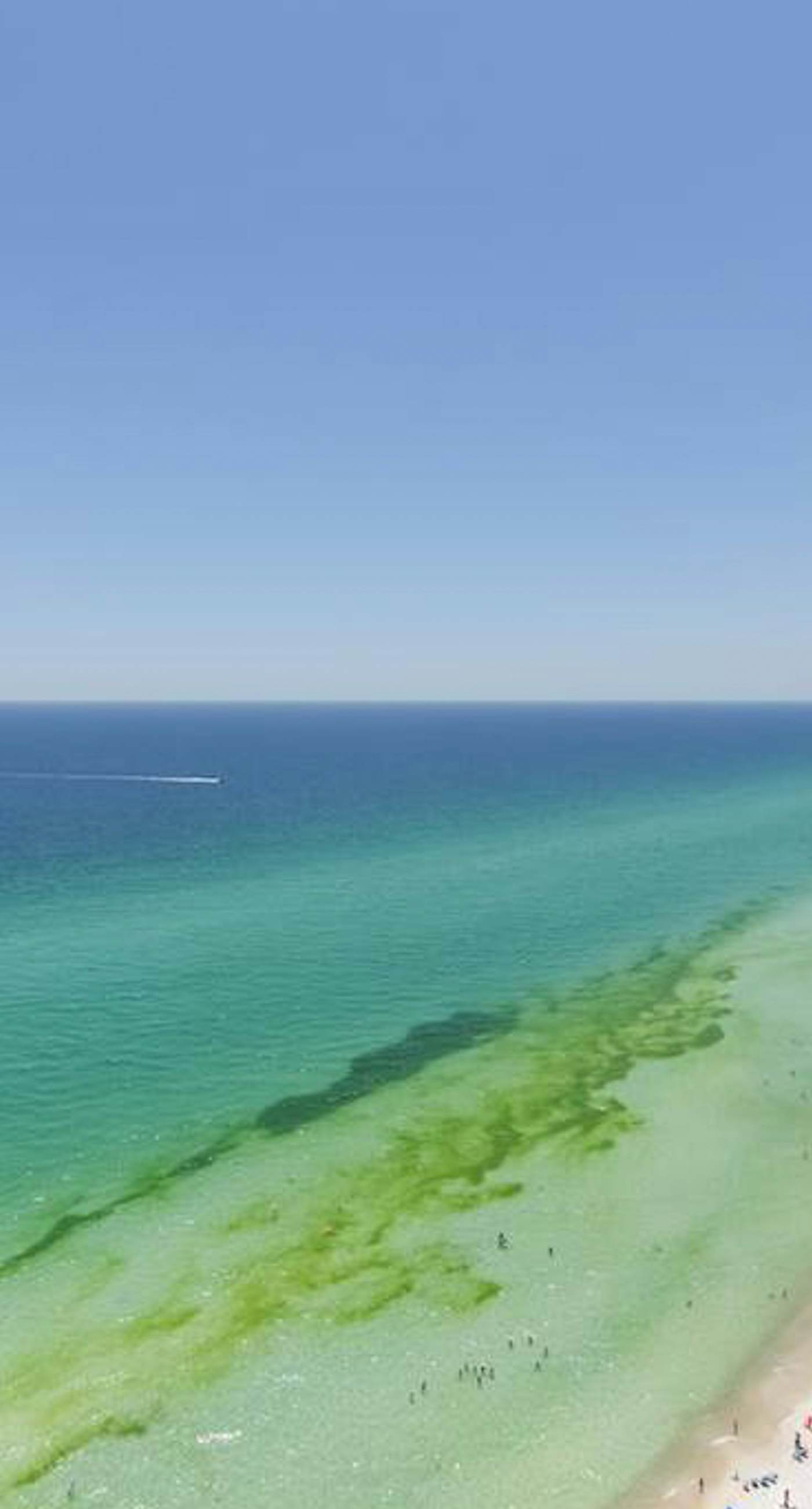 22nd Floor, Gorgeous Gulf-Front Condo w/ Shared Hot Tubs, Pools, & Beach Service