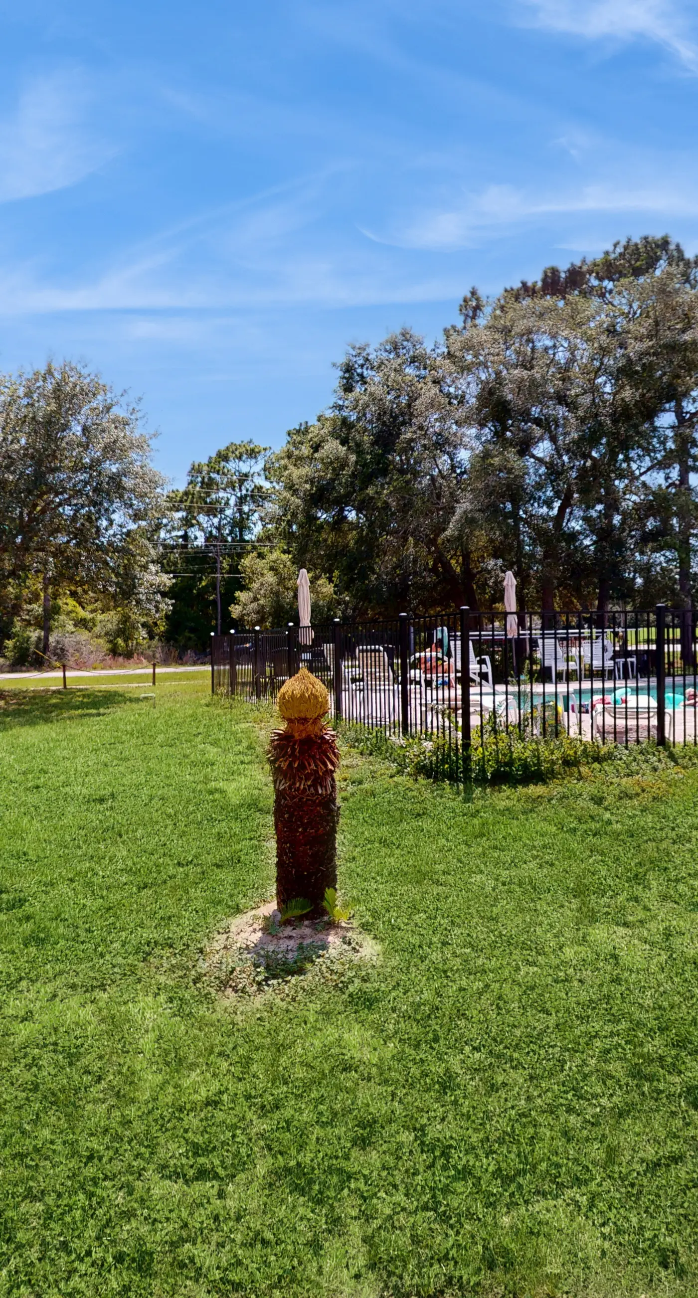 Spacious townhome, dog-friendly w full kitchen & shared pool