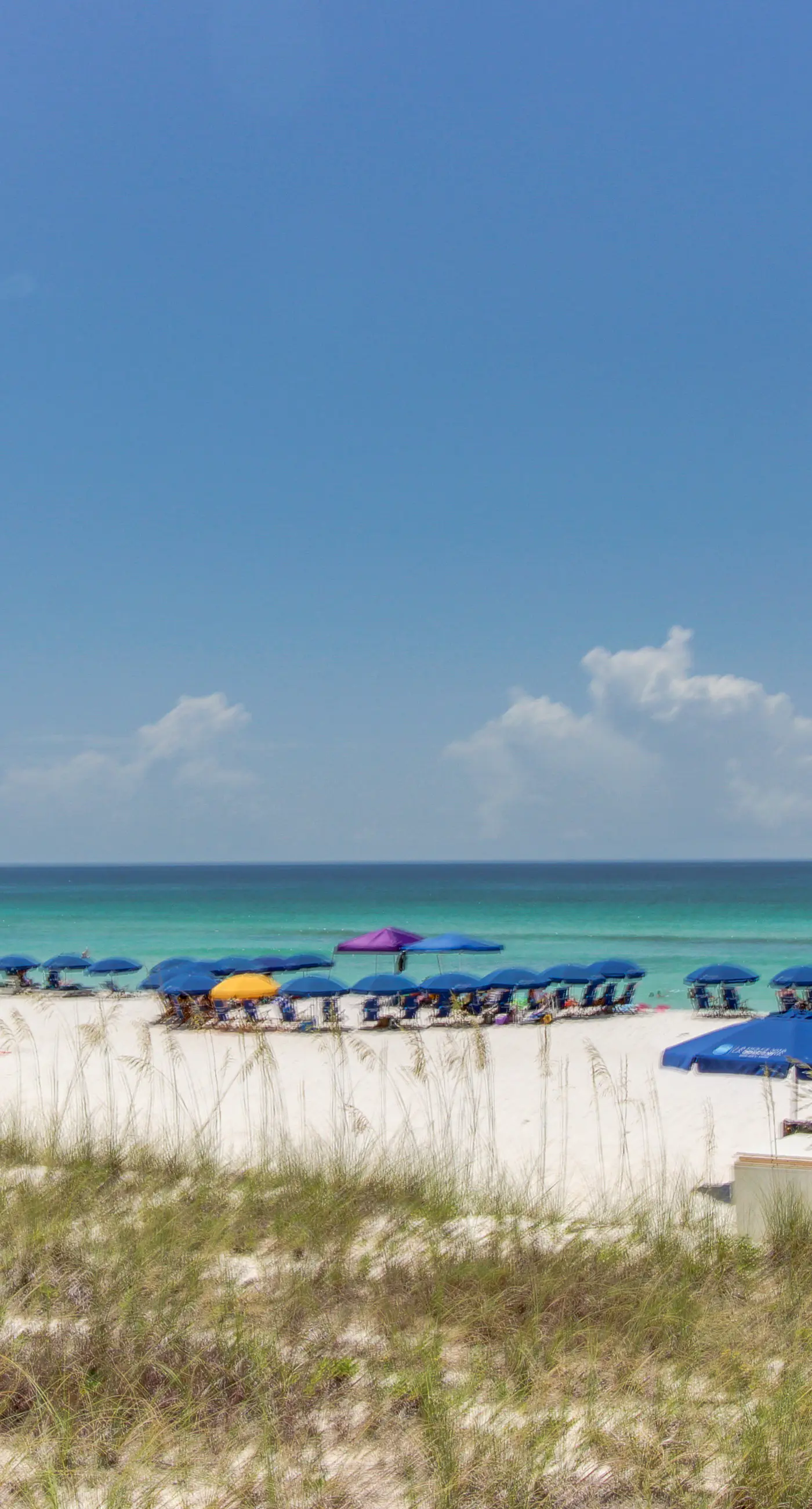 Beachfront condo with pool, tennis, fitness center & WiFi