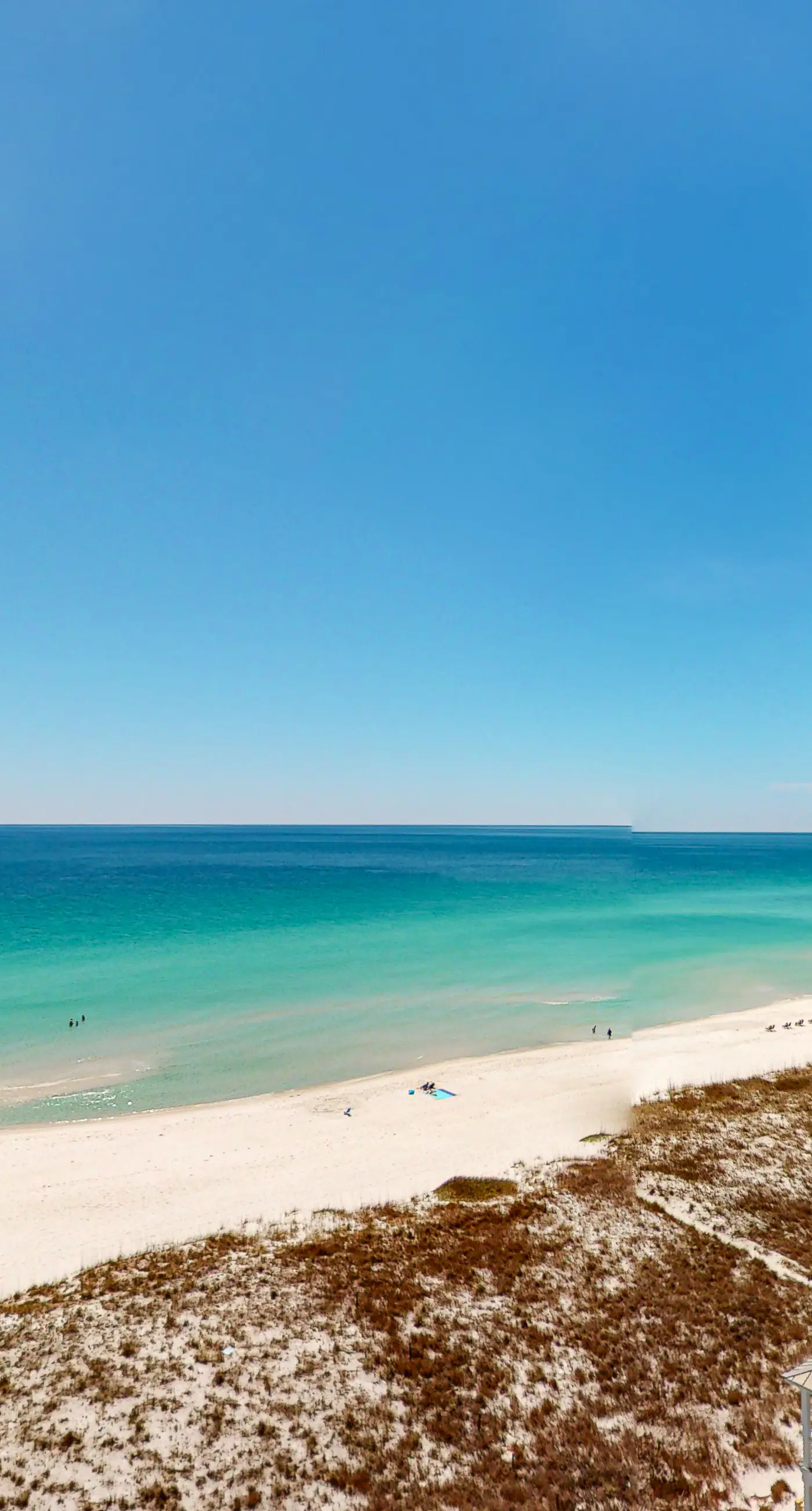 9th Floor Gulf-Front Condo with Plenty Of Resort Amenities, Close To Dining