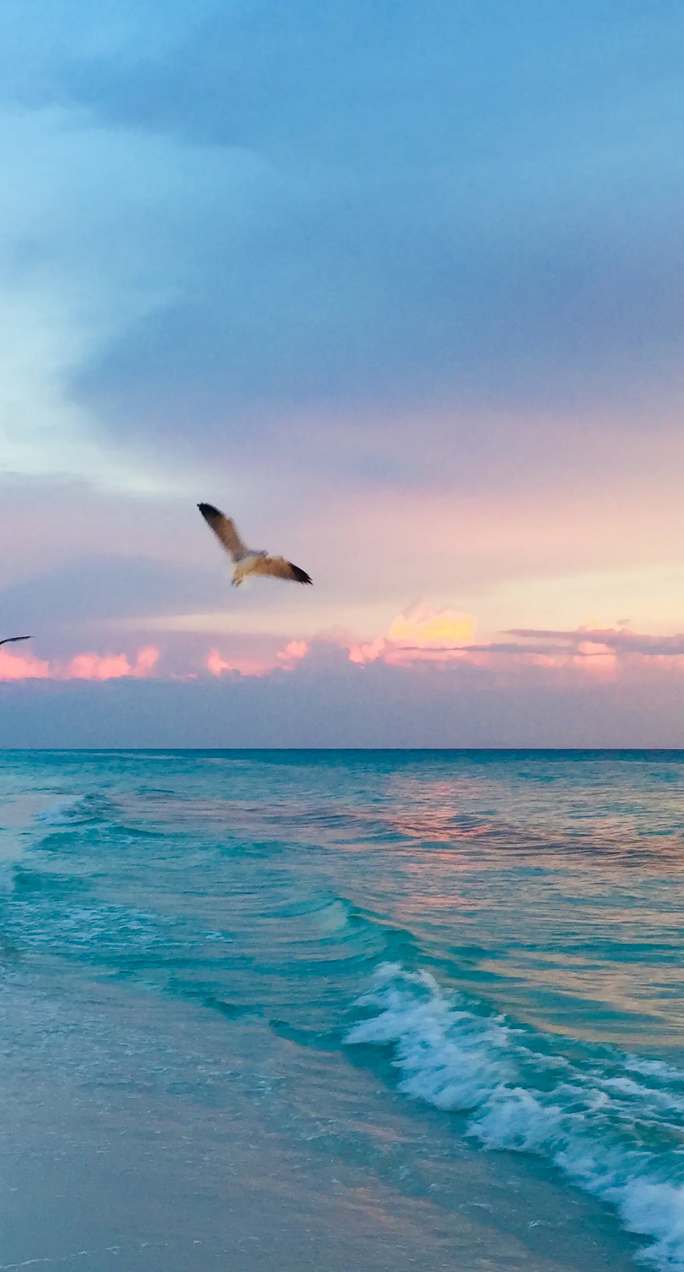 Custom Home with Private Pool, Entertainer`s Kitchen & Beach Gear - Near Beach