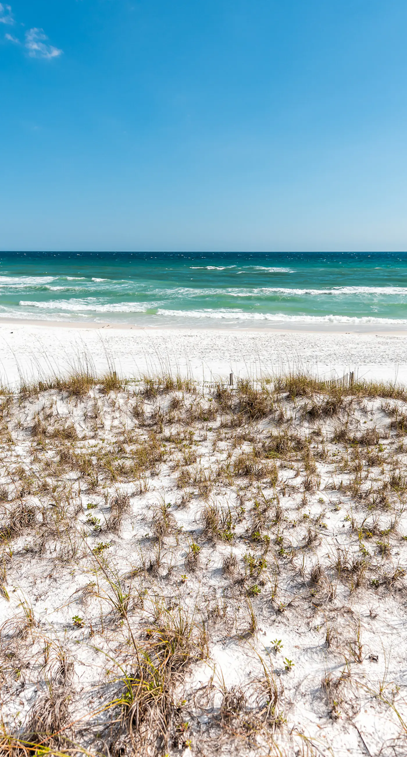 Custom Home with Private Pool, Entertainer`s Kitchen & Beach Gear - Near Beach