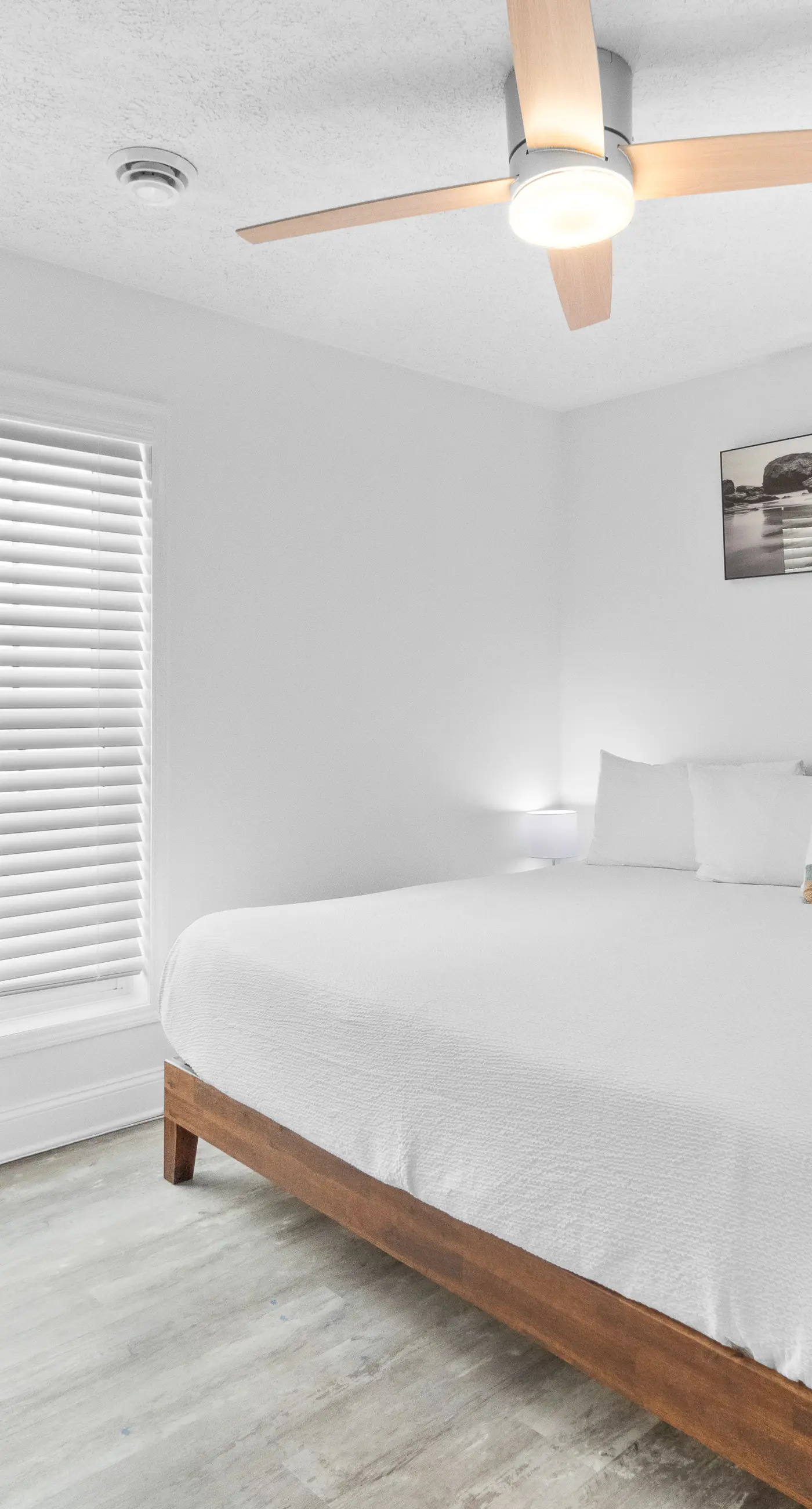 Spacious home, dog friendly, WiFi, & central AC - short walk to the beach