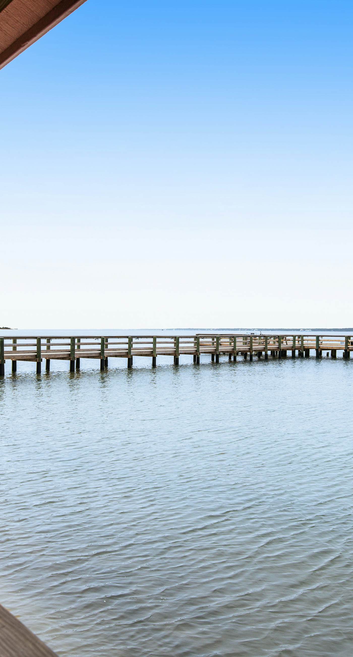 Bright studio in perfect location with water access, pool, grill, & fast WiFi