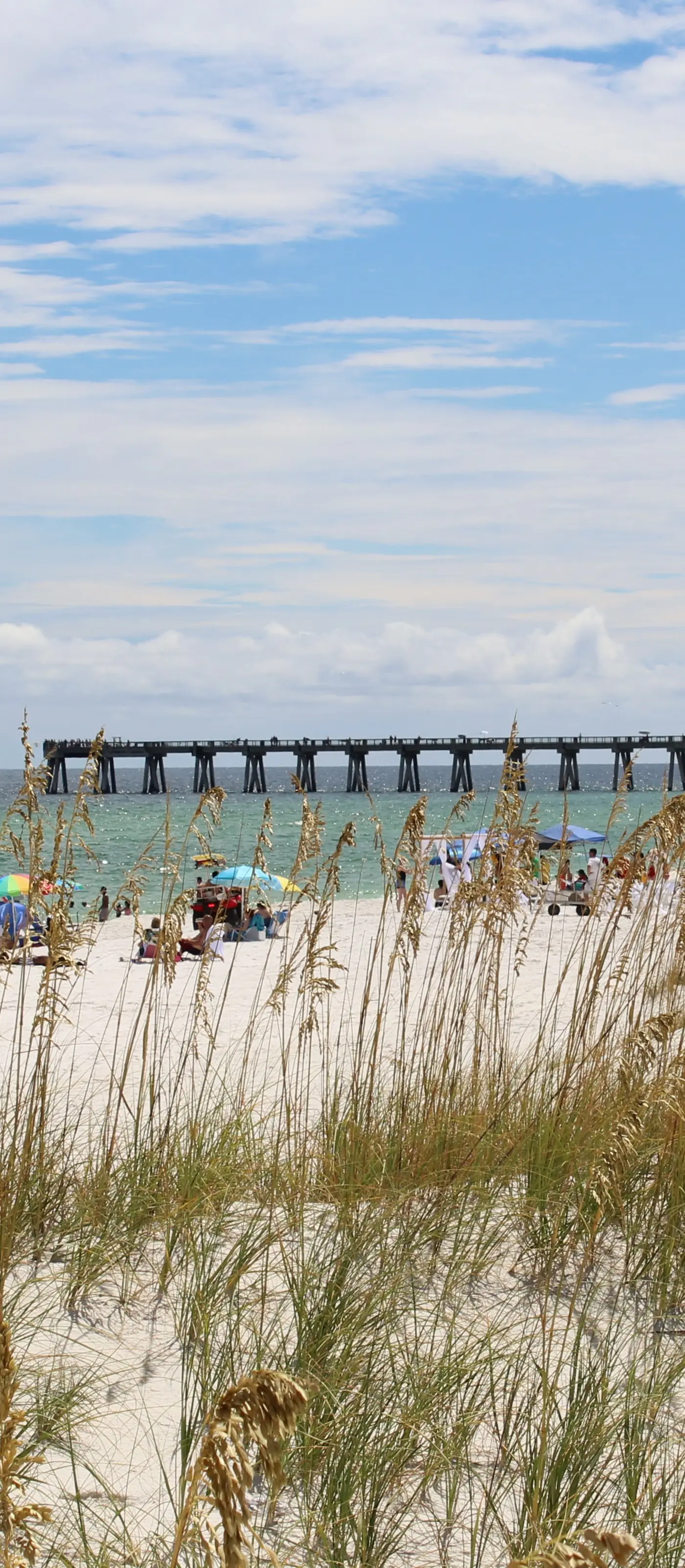 Gorgeous coastal home with plenty of space, close to beach and Pet friendly