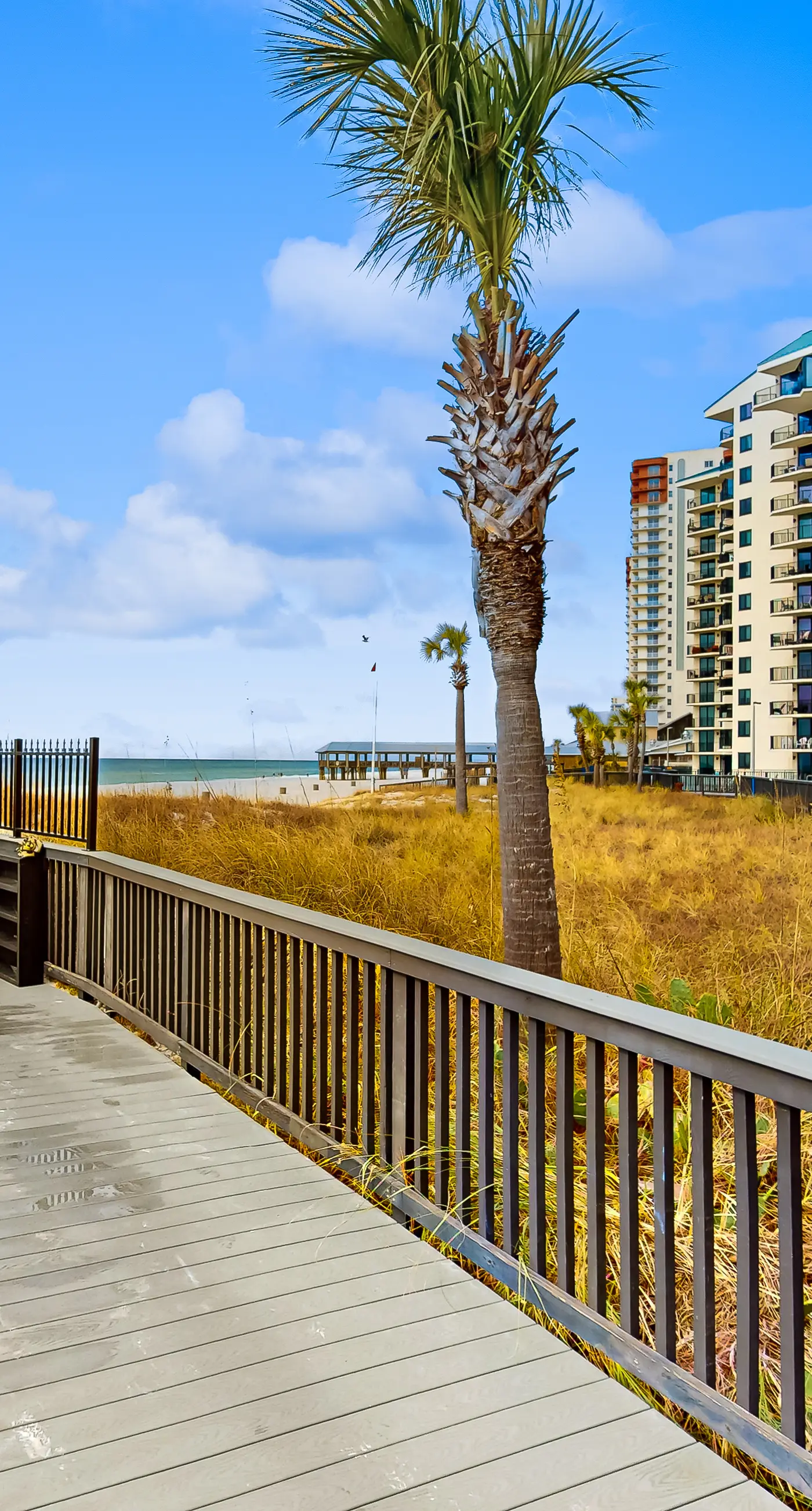 Incredible beachfront getaway with views, pools, & tennis - Snowbirds welcome