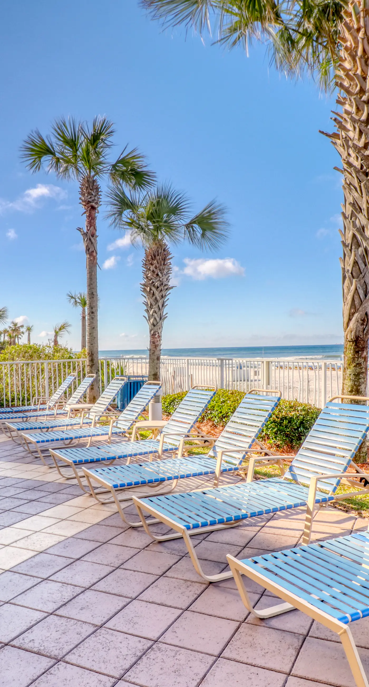 Beachfront condo with pool, fitness center & grills