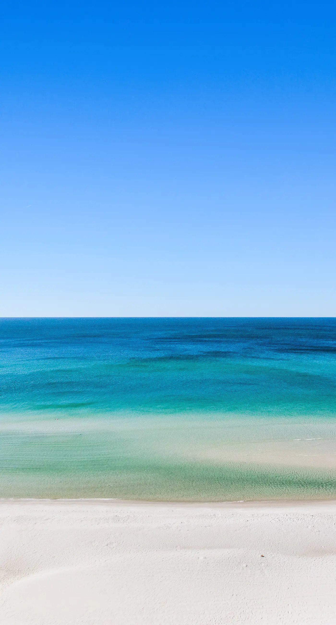 Shores of Panama 1001