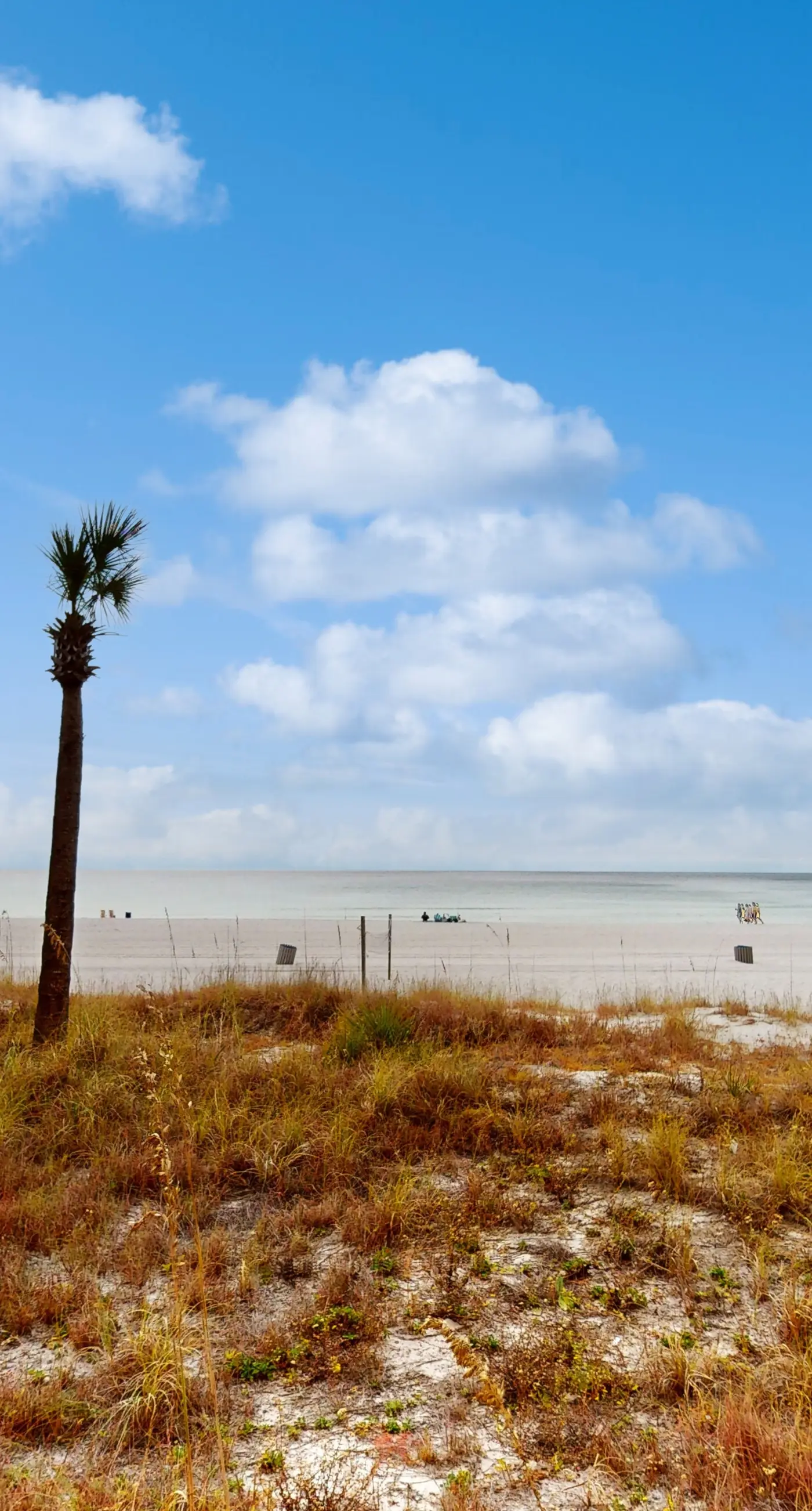 Gulf-view condo with furnished balcony, pools, beach access, fitness room