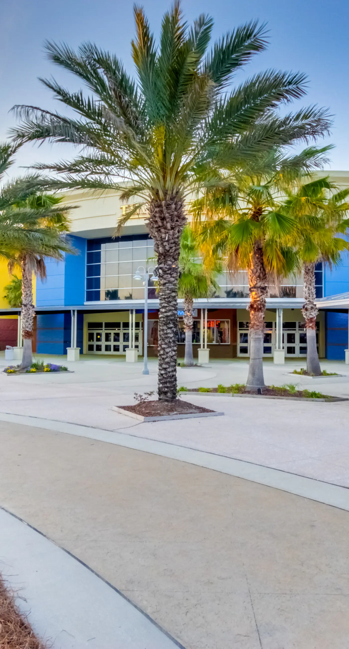 Sunny, eighth-floor, beachfront condo with pools, hot tub, & fitness room
