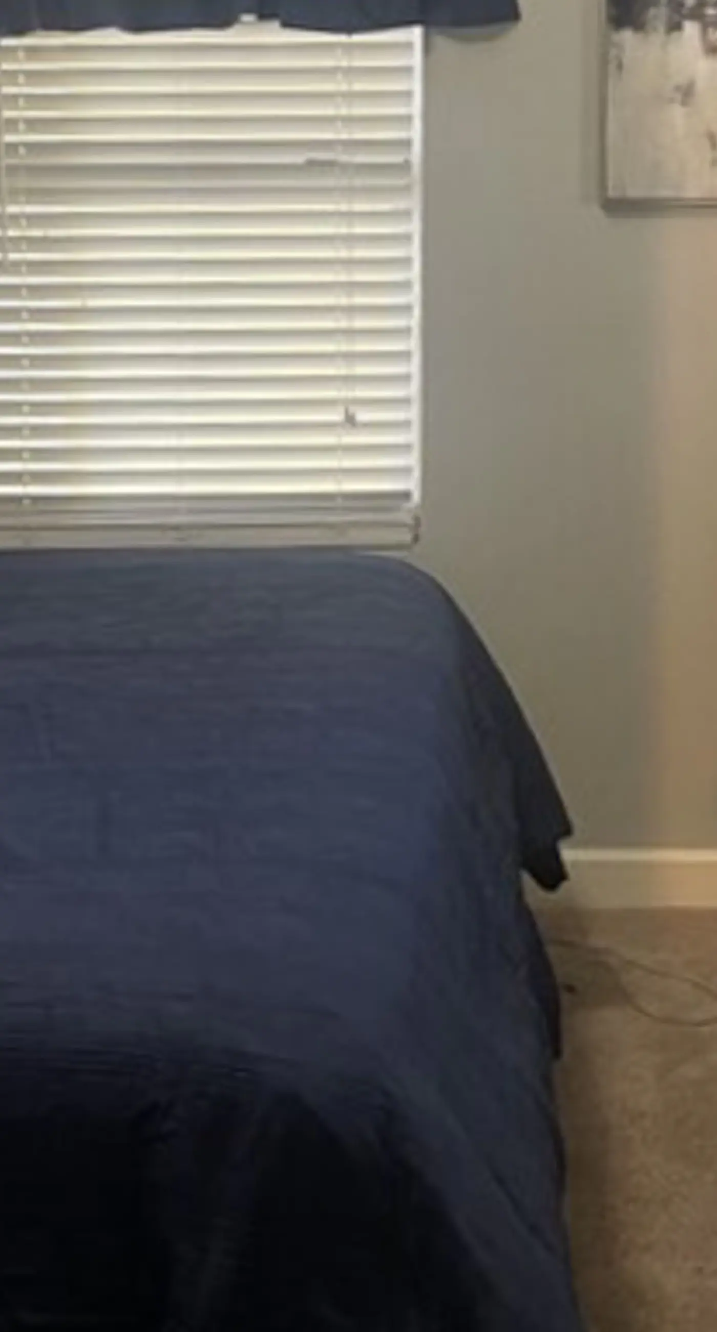 Beautiful beachfront condo with shared pool and beach access