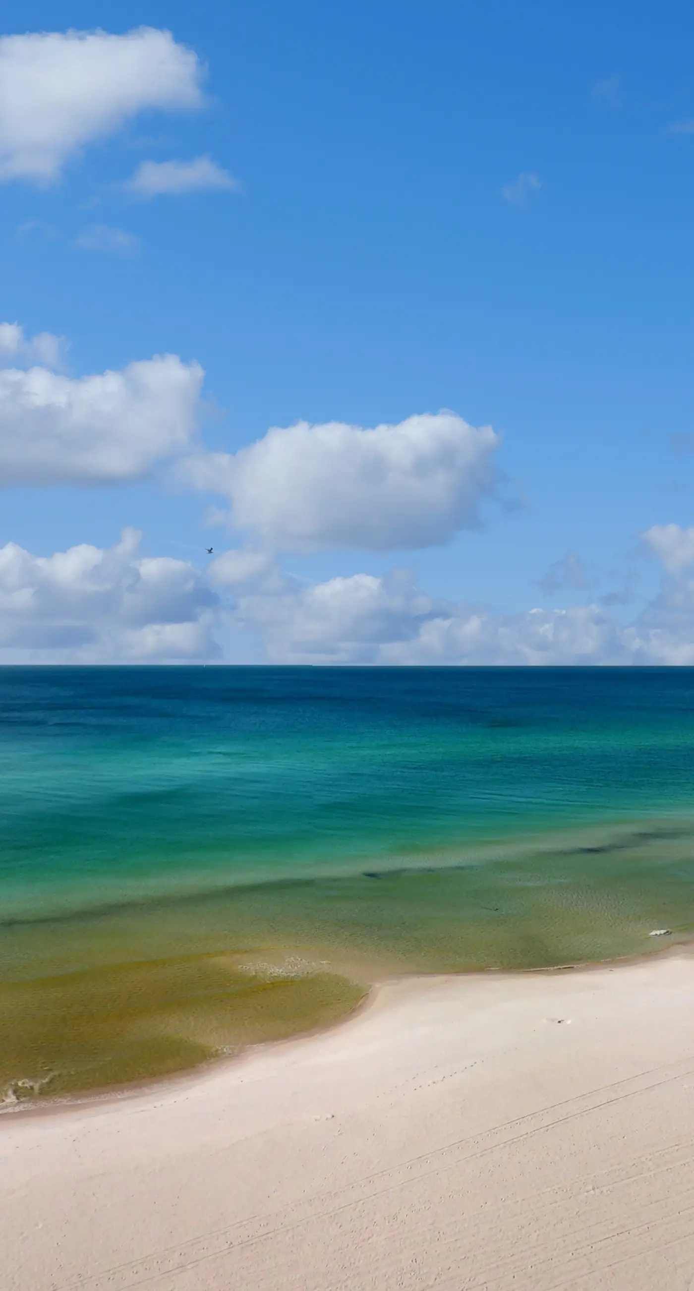 Oceanfront Condo with Shared Pool & Hot Tub, Ocean View, and High-Speed WiFi