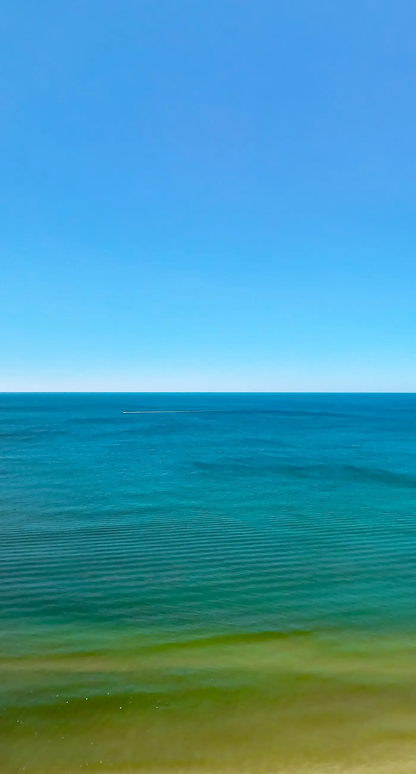 Cozy & colorful beachfront condo with balcony, pools, & fitness center