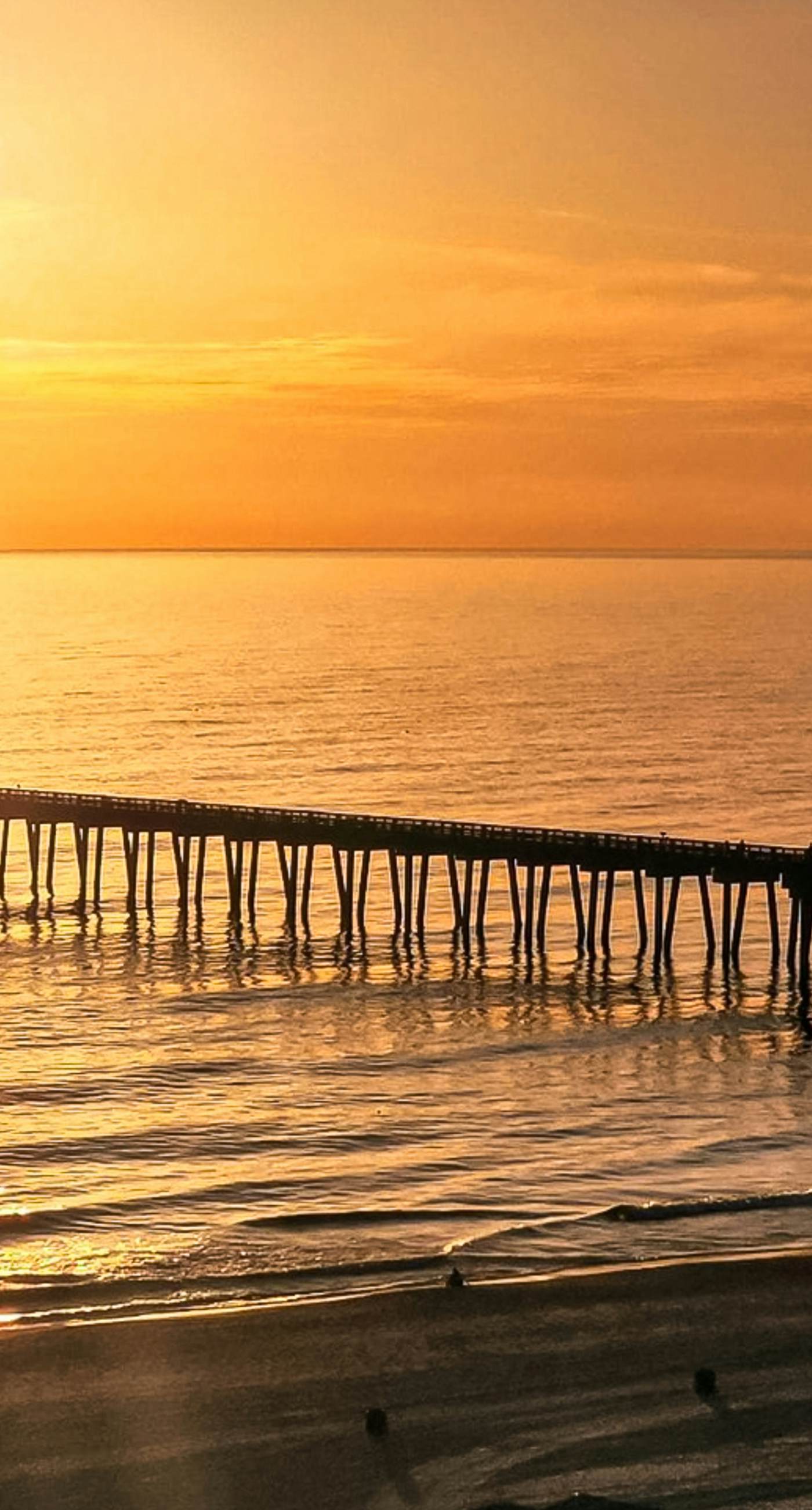 Eighth-floor beachfront condo w/ hot tubs, pools, seasonal beach service & more