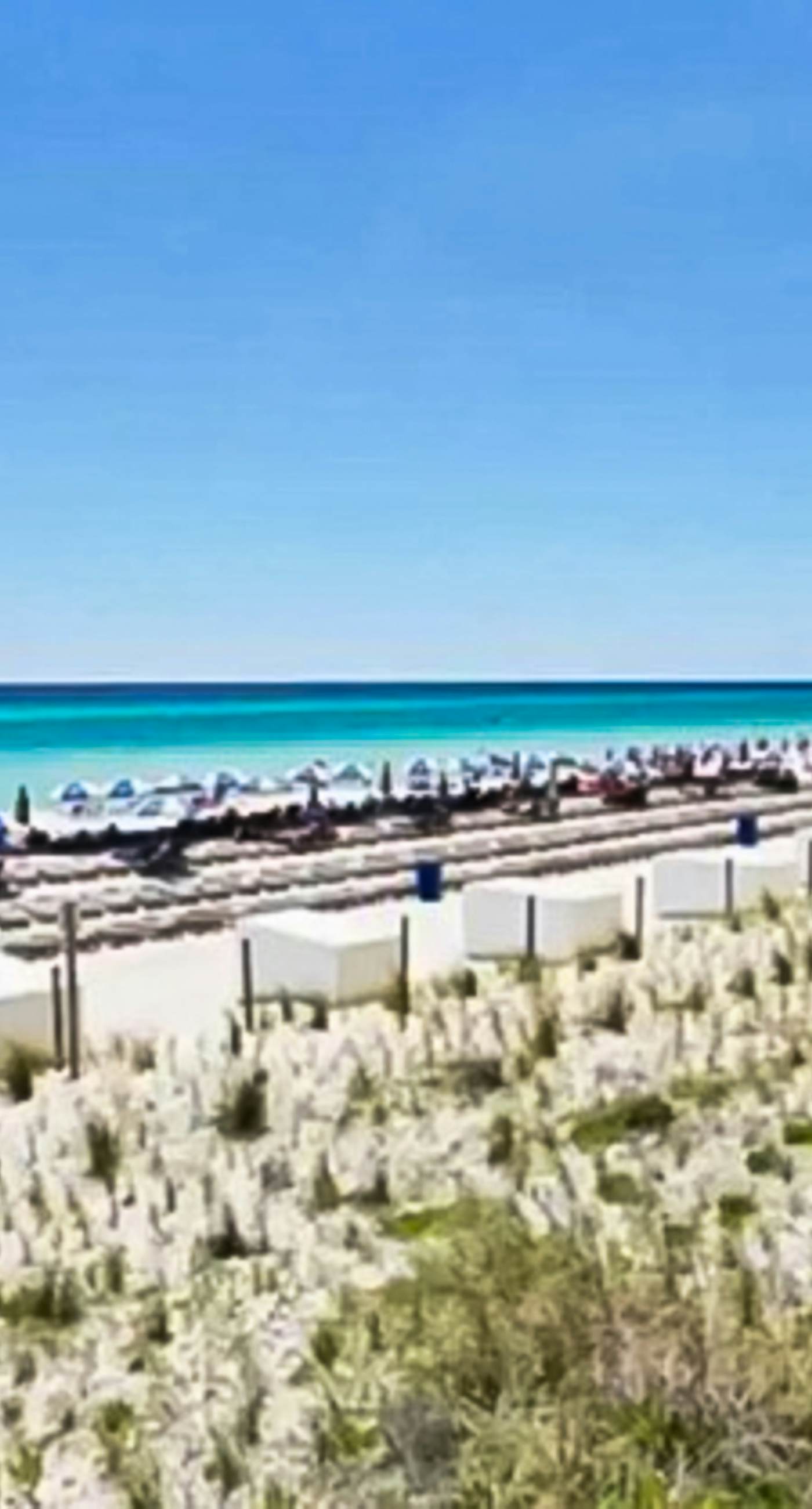 Eighth-floor beachfront condo w/ hot tubs, pools, seasonal beach service & more