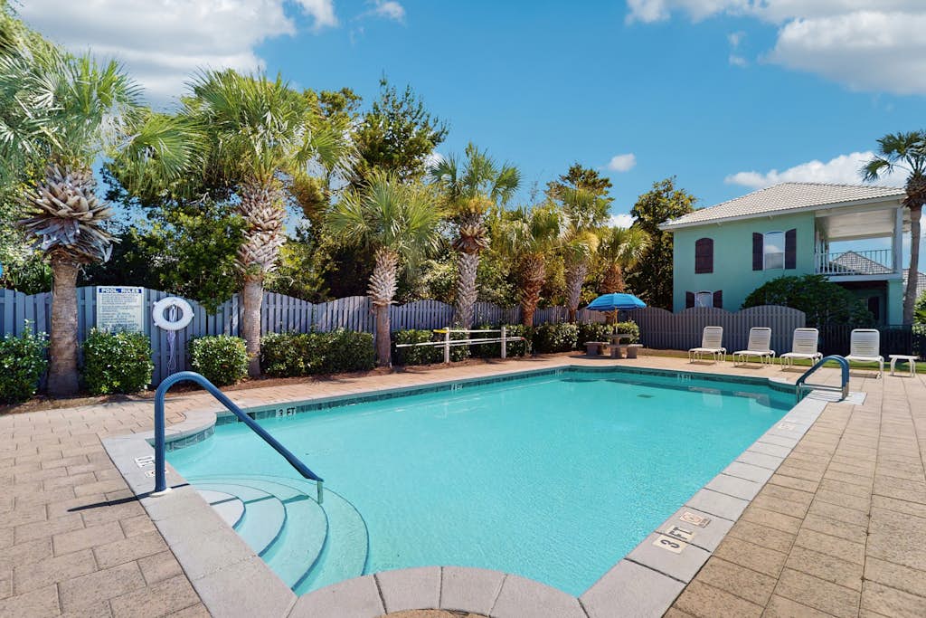 Palmetto Palms