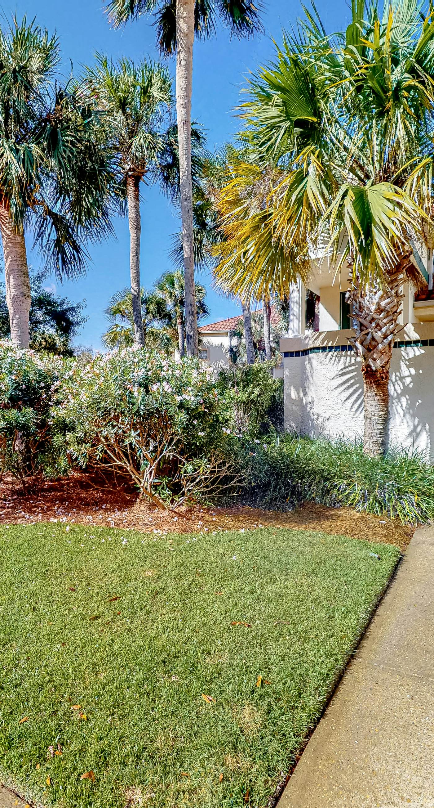 Tivoli by the Sea #5235