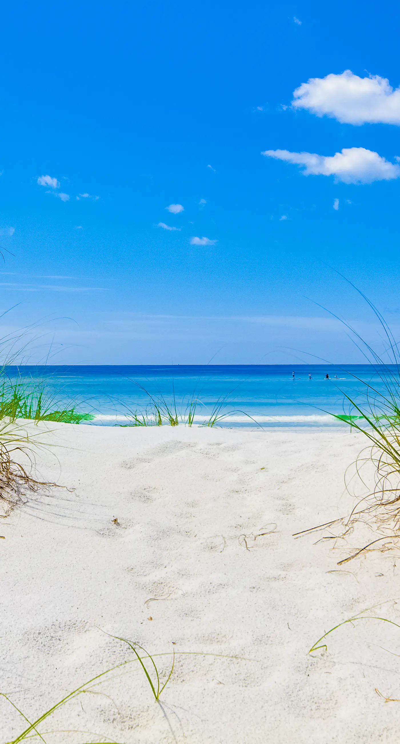 Ocean-view condo with wraparound balcony, W/D, pool, & hot tub