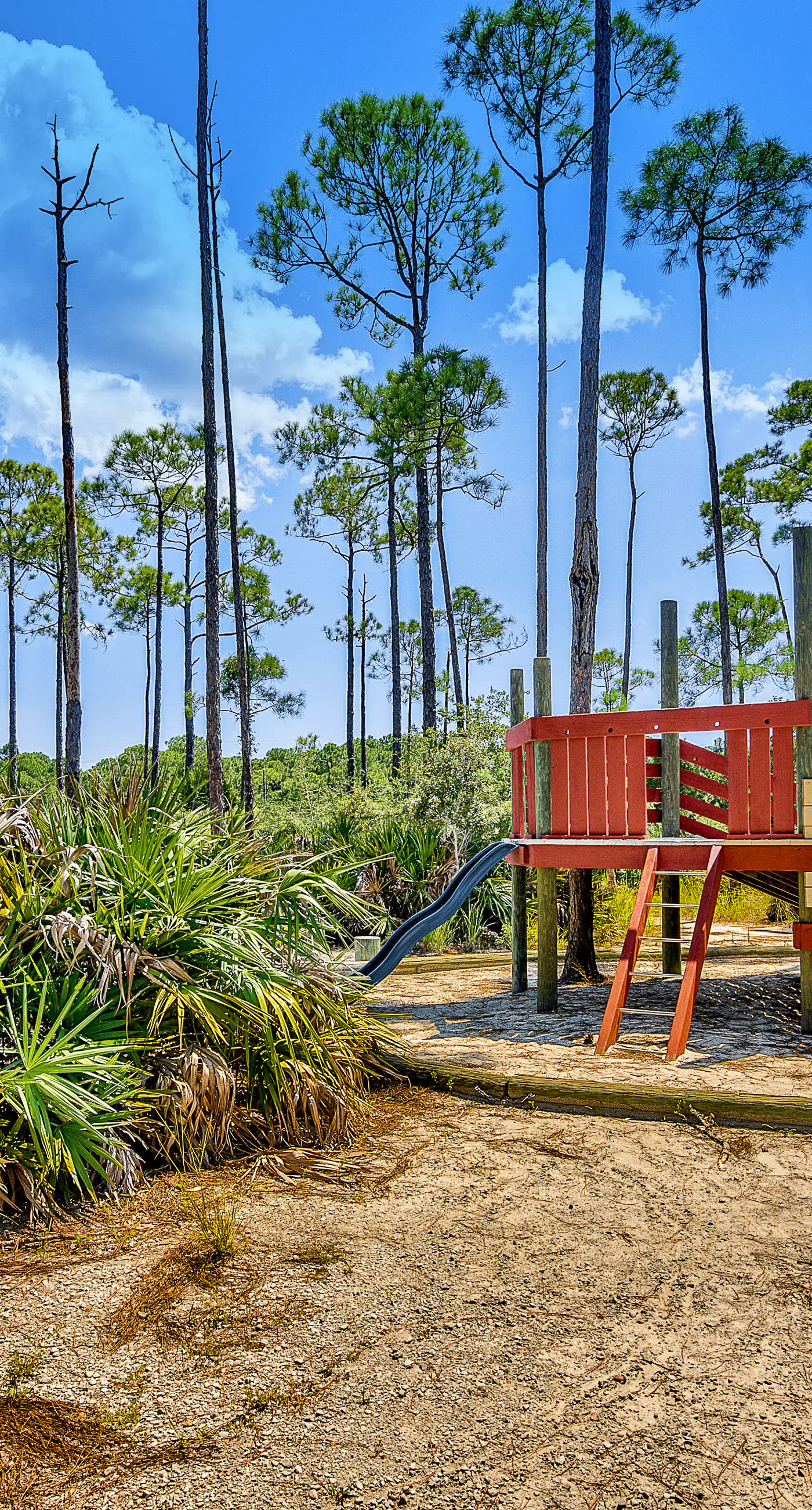 Luxurious condo near downtown, beach, & golf with pools & tennis