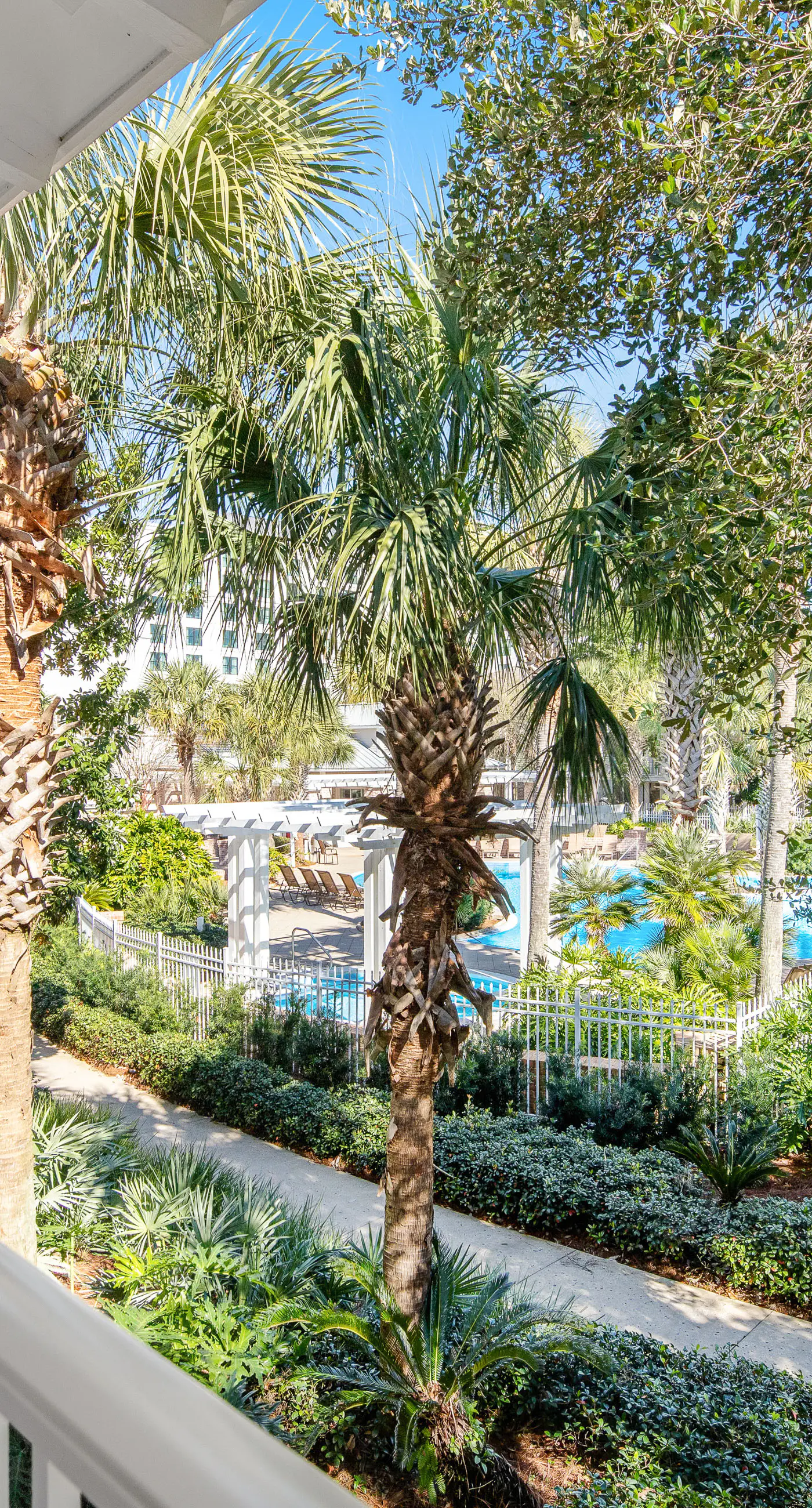 Waterfront condo with picture-perfect sunrises & shared pool,hot tub